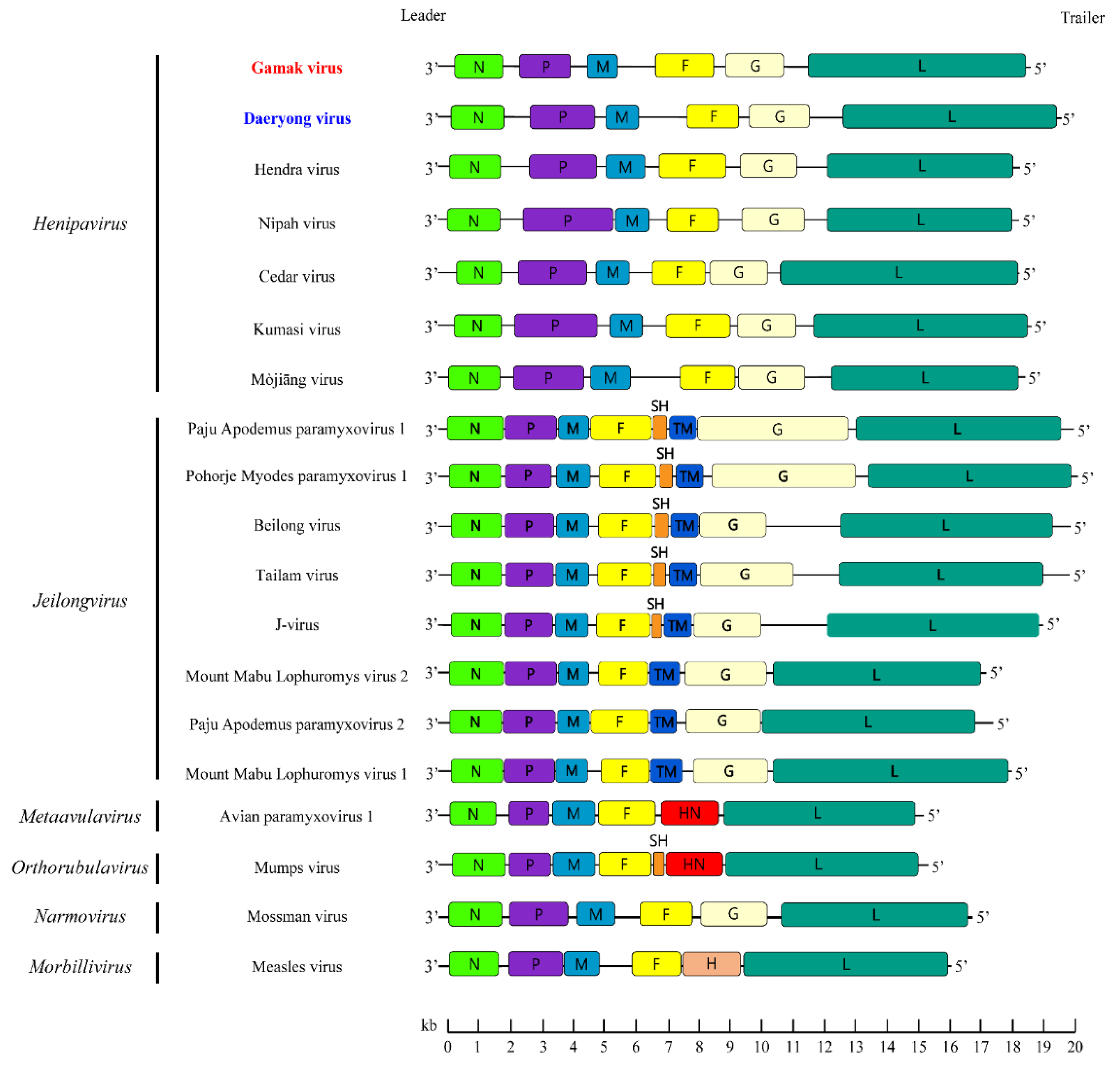 Viruses 13 02020 g003