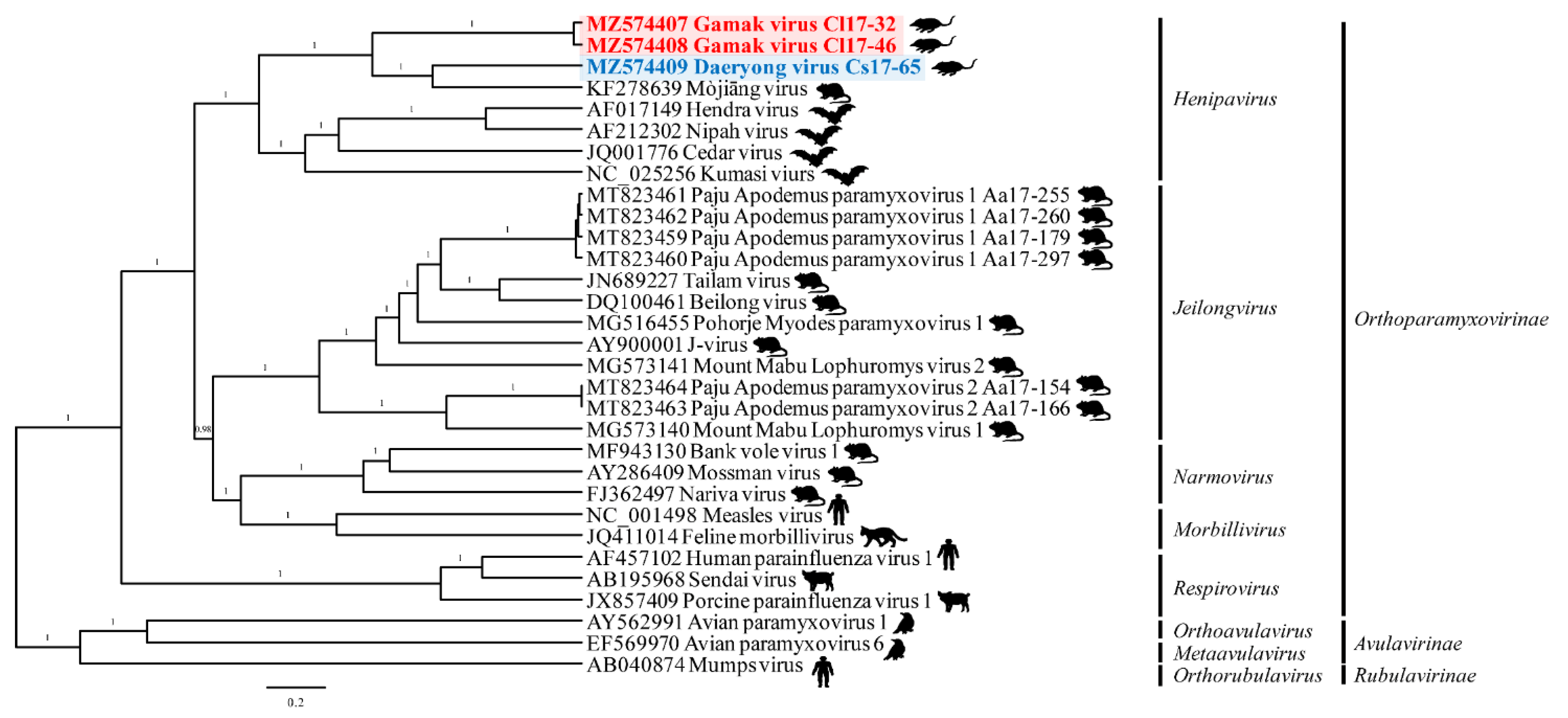 Viruses 13 02020 g004