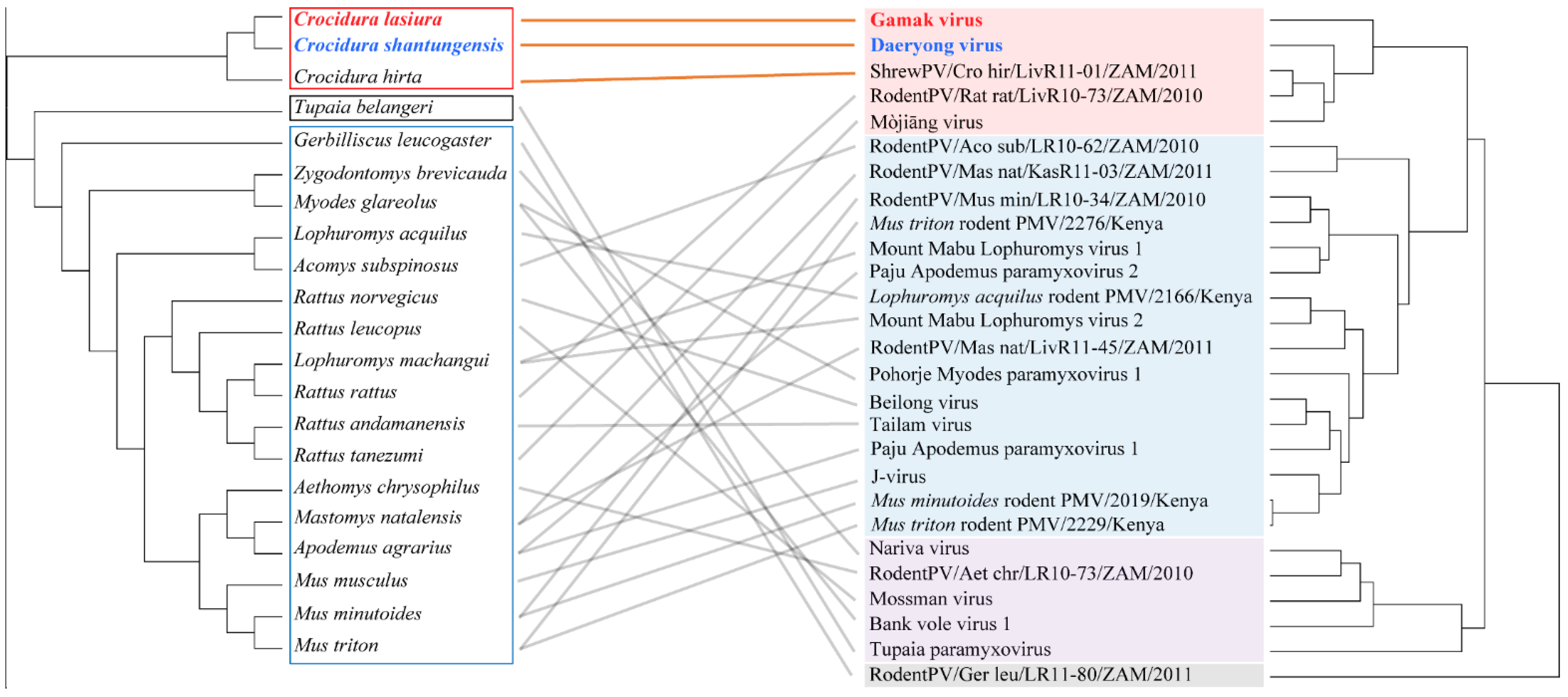 Viruses 13 02020 g005