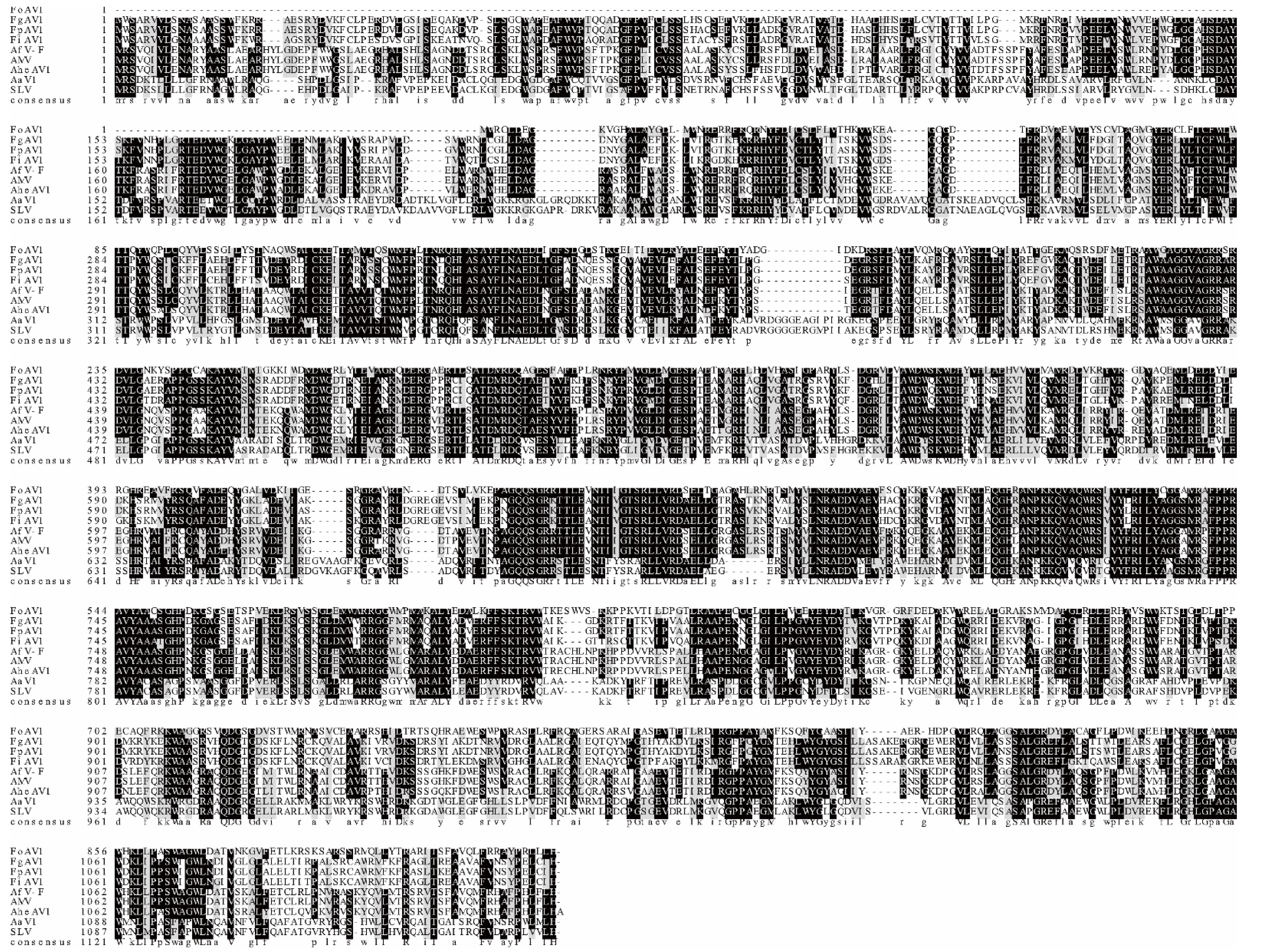 Viruses 13 02026 g003