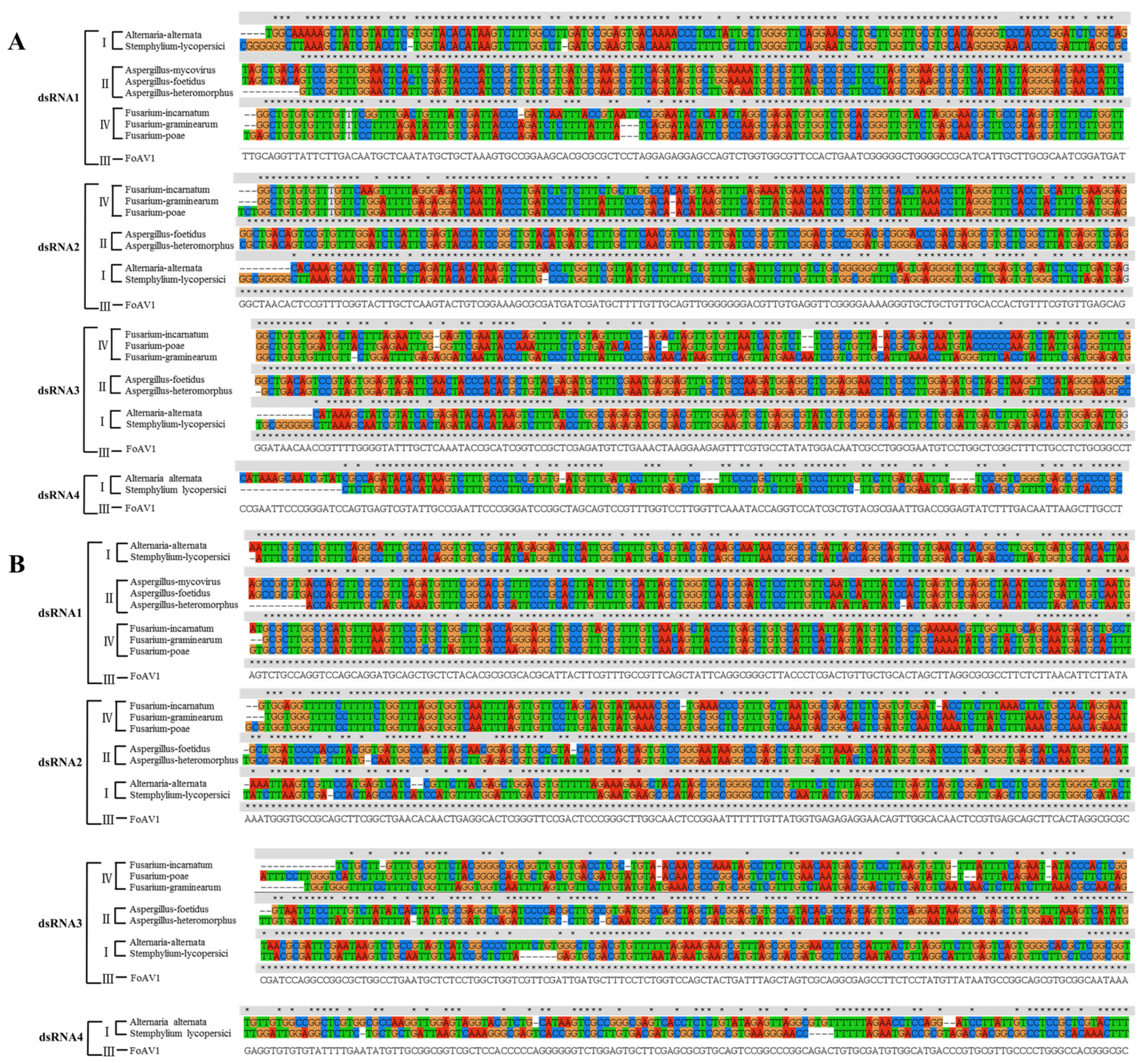 Viruses 13 02026 g005