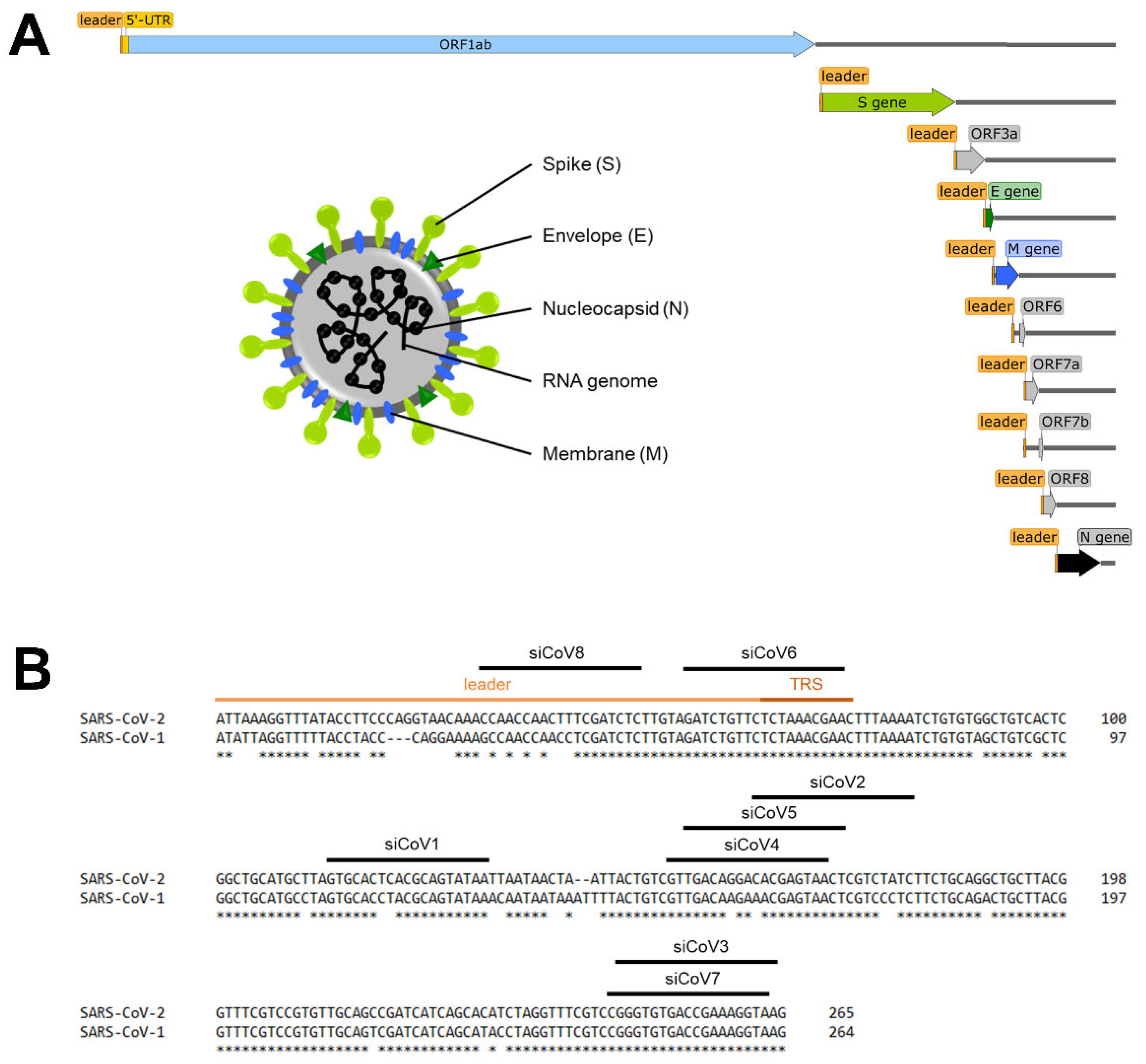 Viruses 13 02030 g001