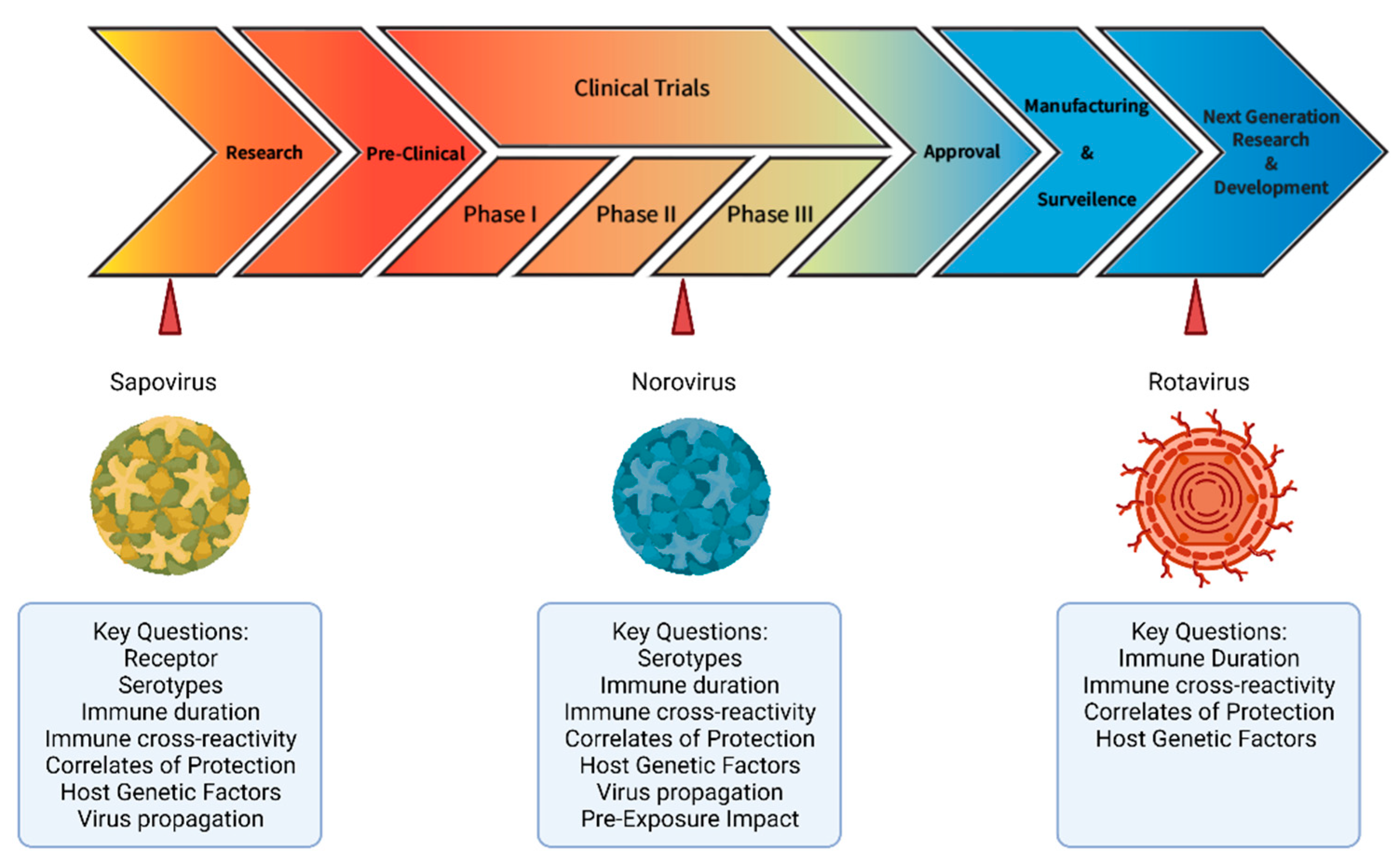 Viruses 13 02033 g001