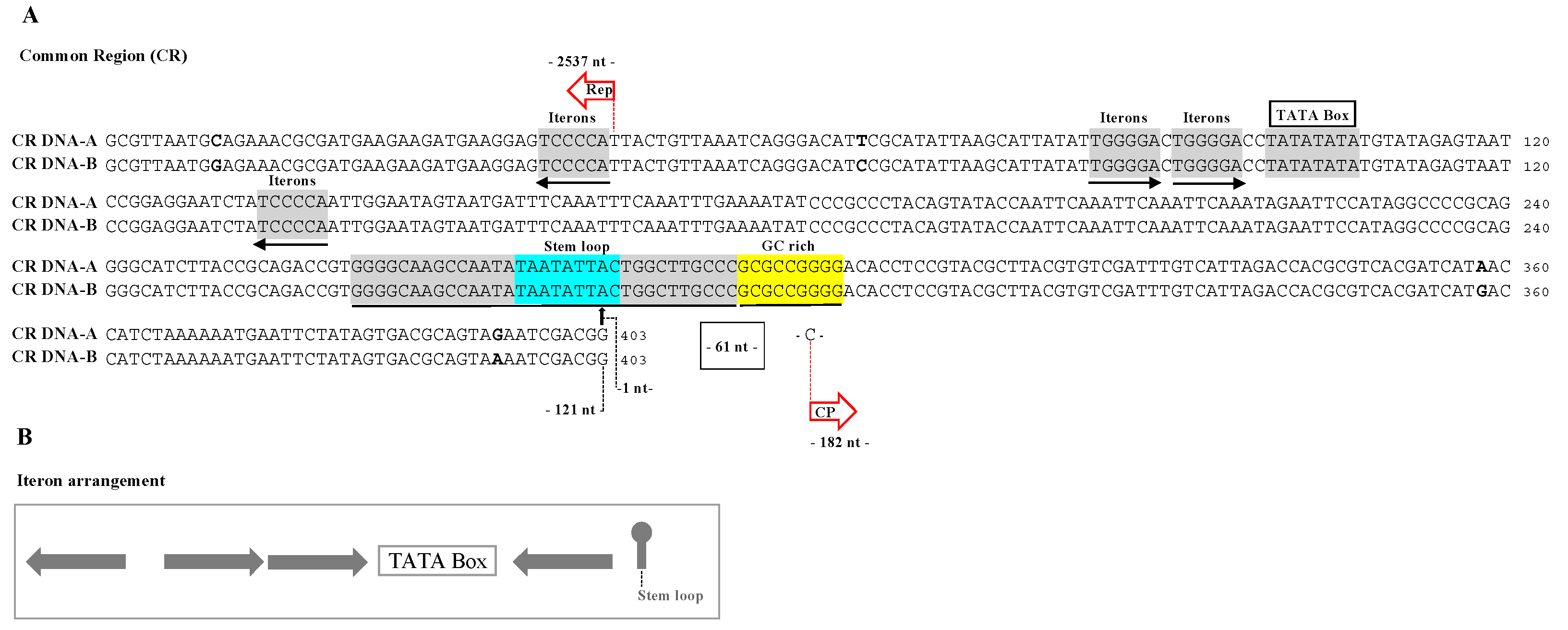Viruses 13 02035 g001
