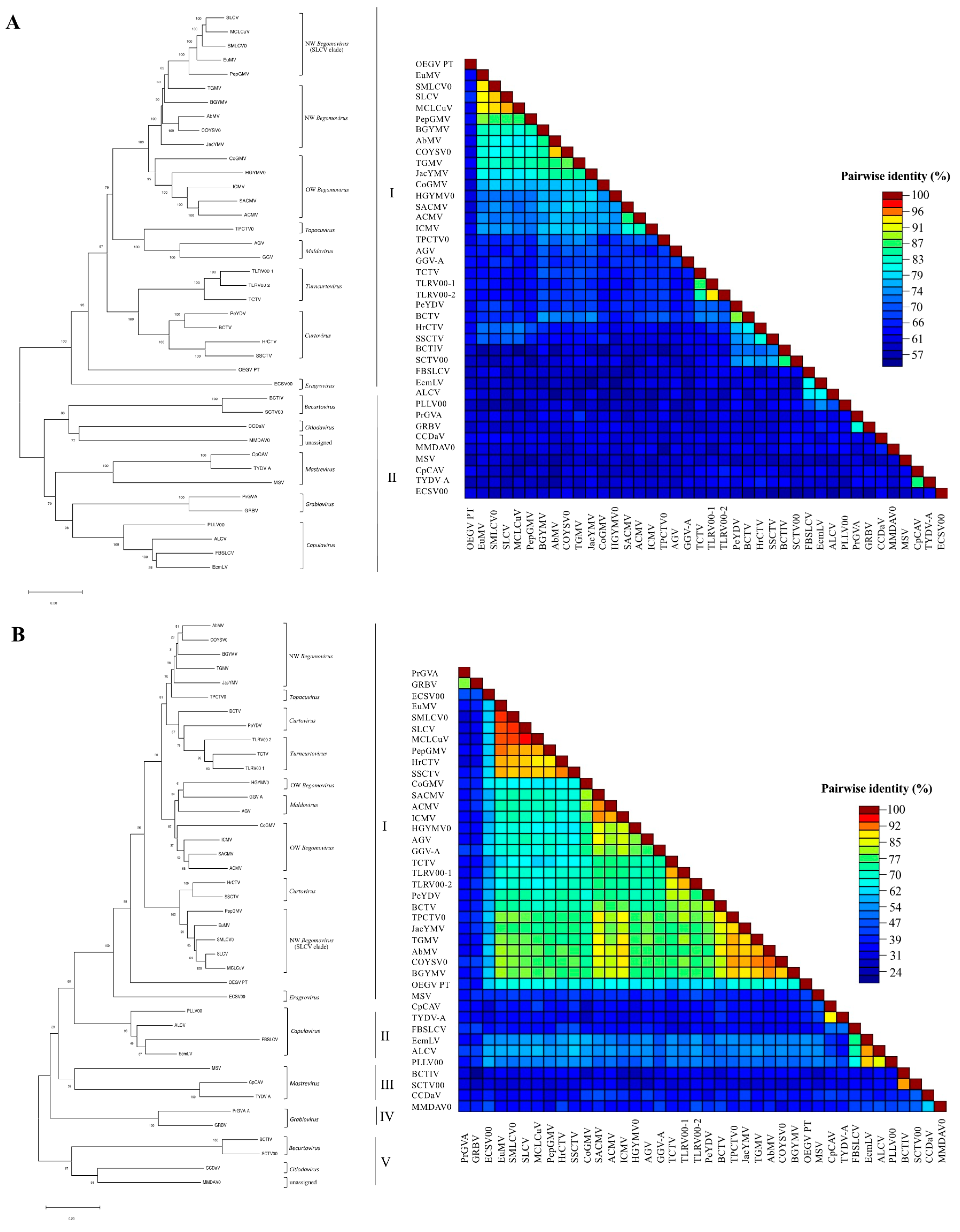 Viruses 13 02035 g002a