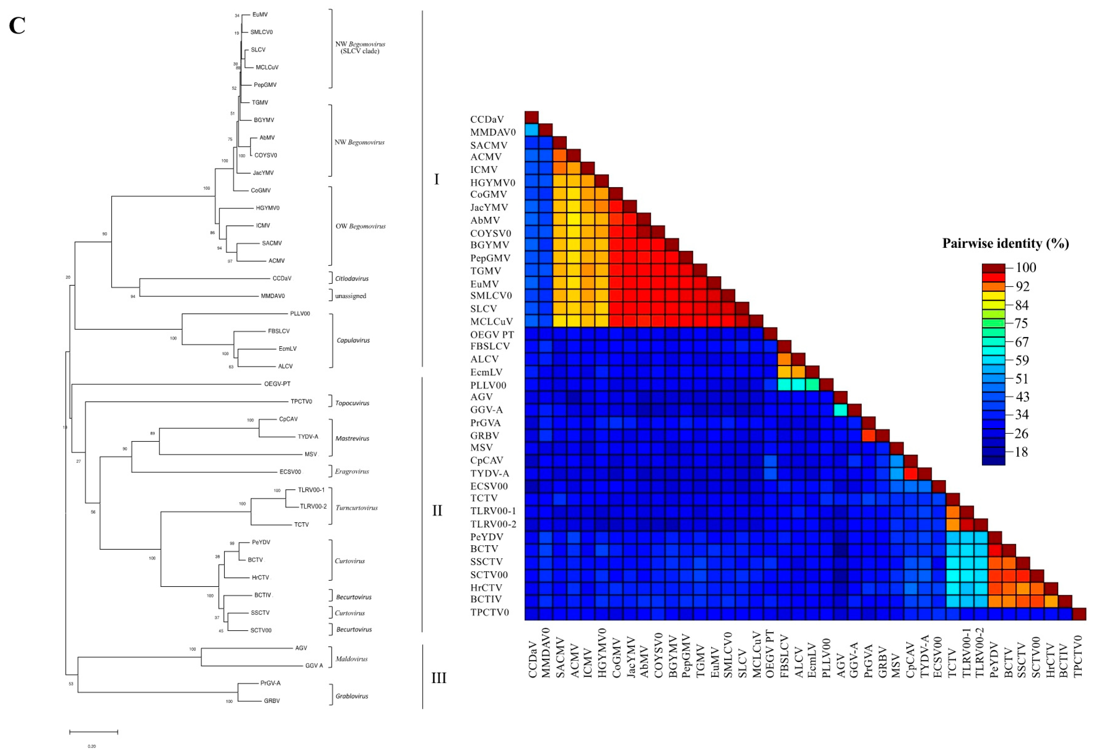 Viruses 13 02035 g002b