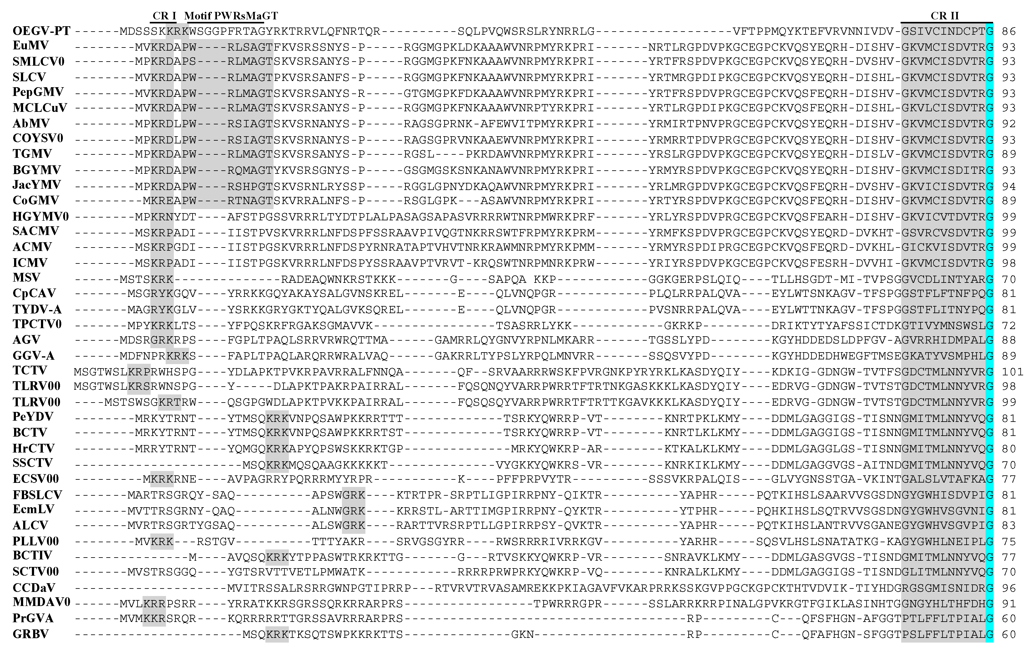 Viruses 13 02035 g003a