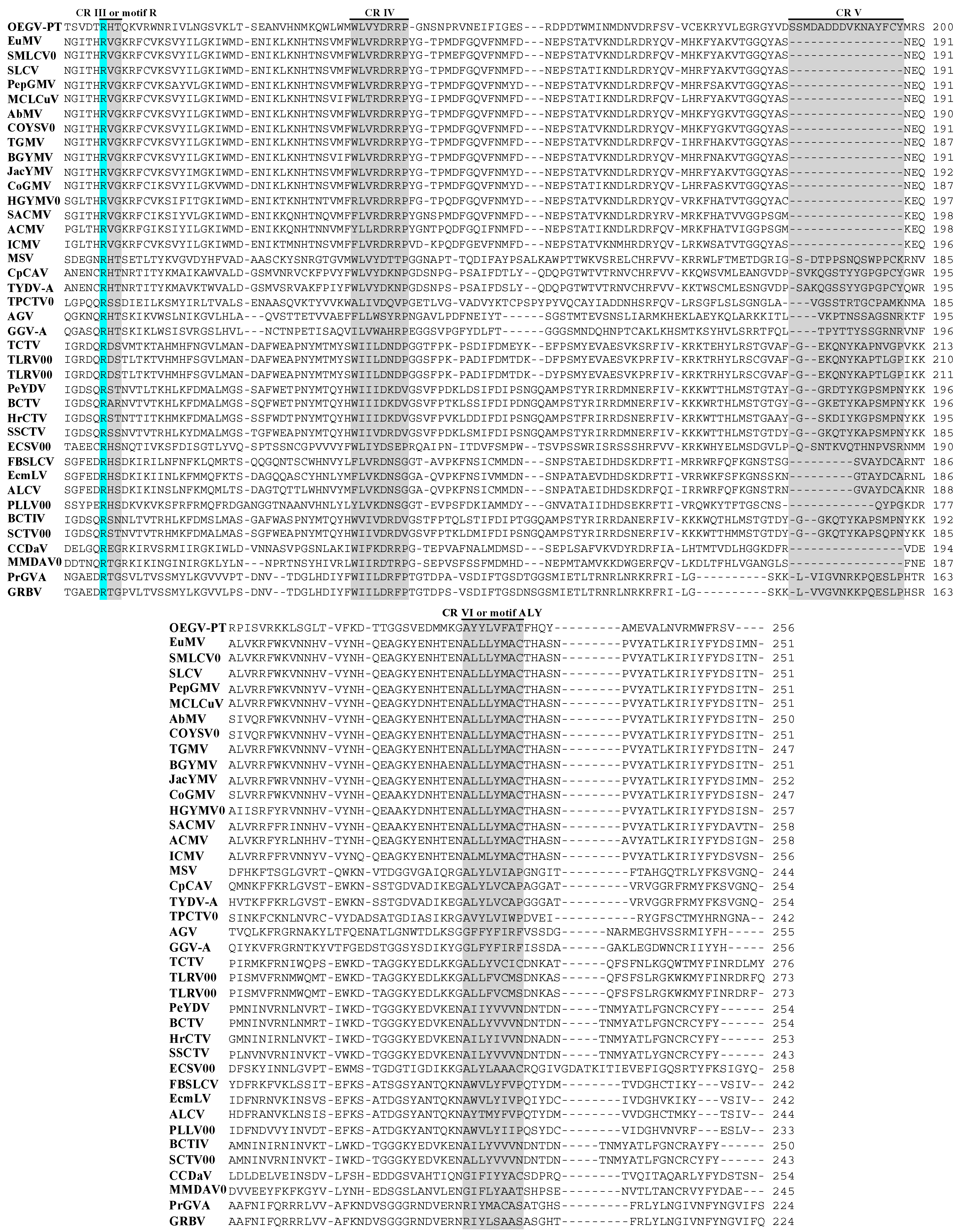 Viruses 13 02035 g003b