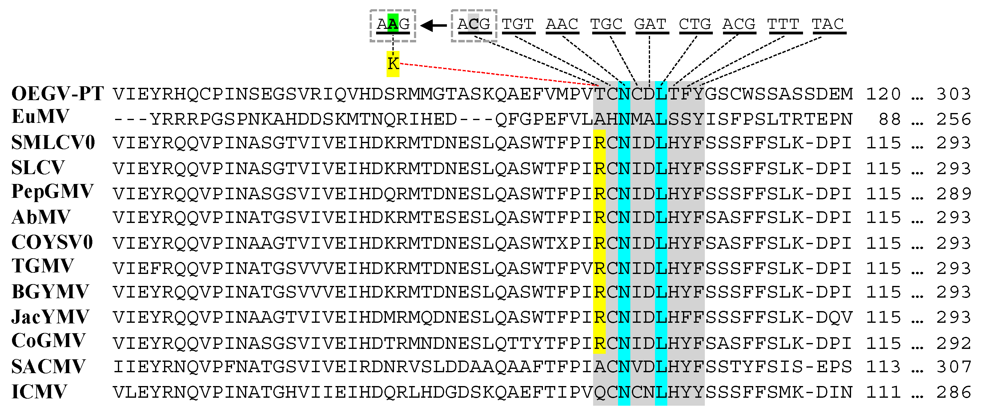 Viruses 13 02035 g004