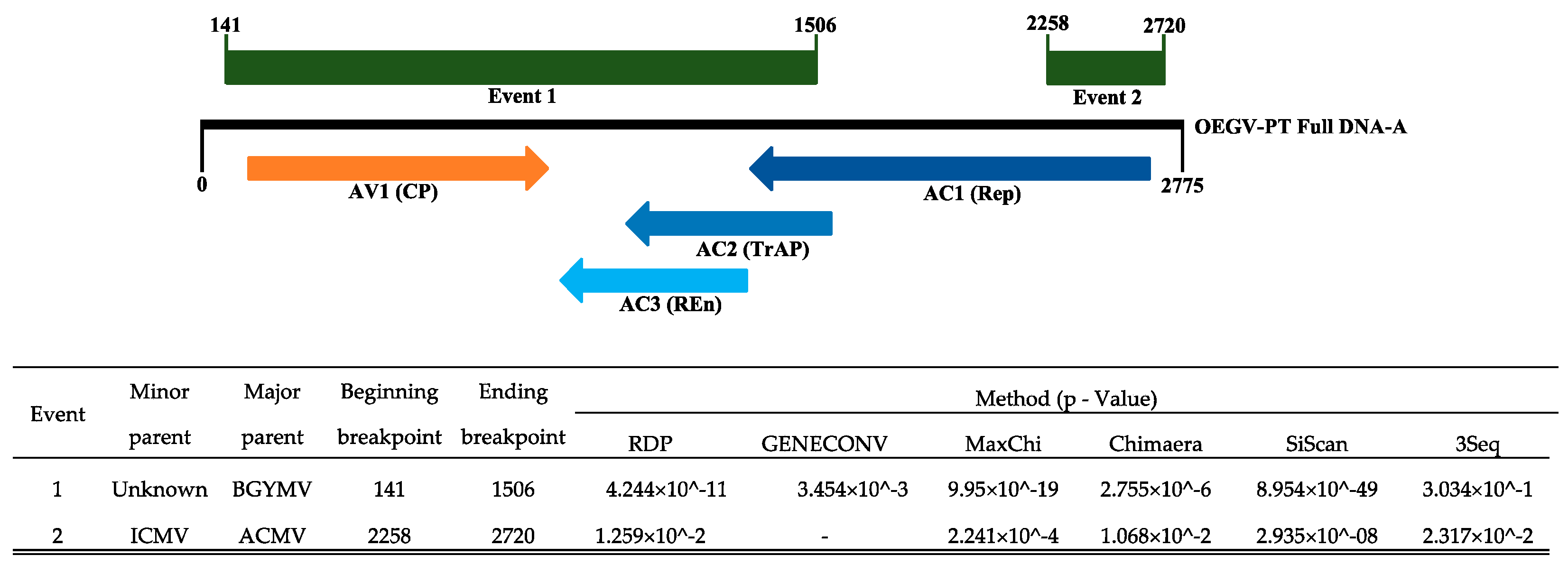 Viruses 13 02035 g005