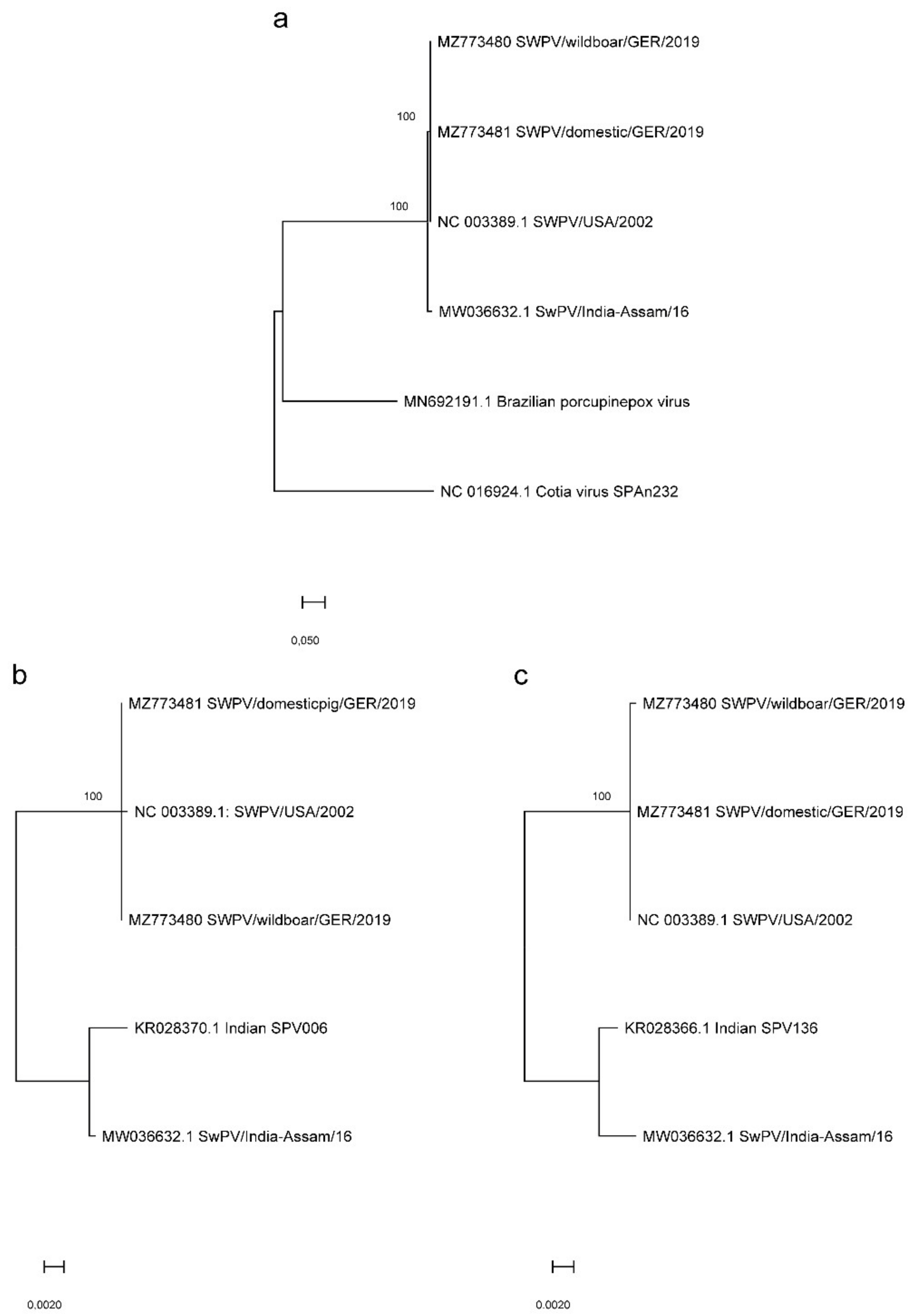 Viruses 13 02038 g003