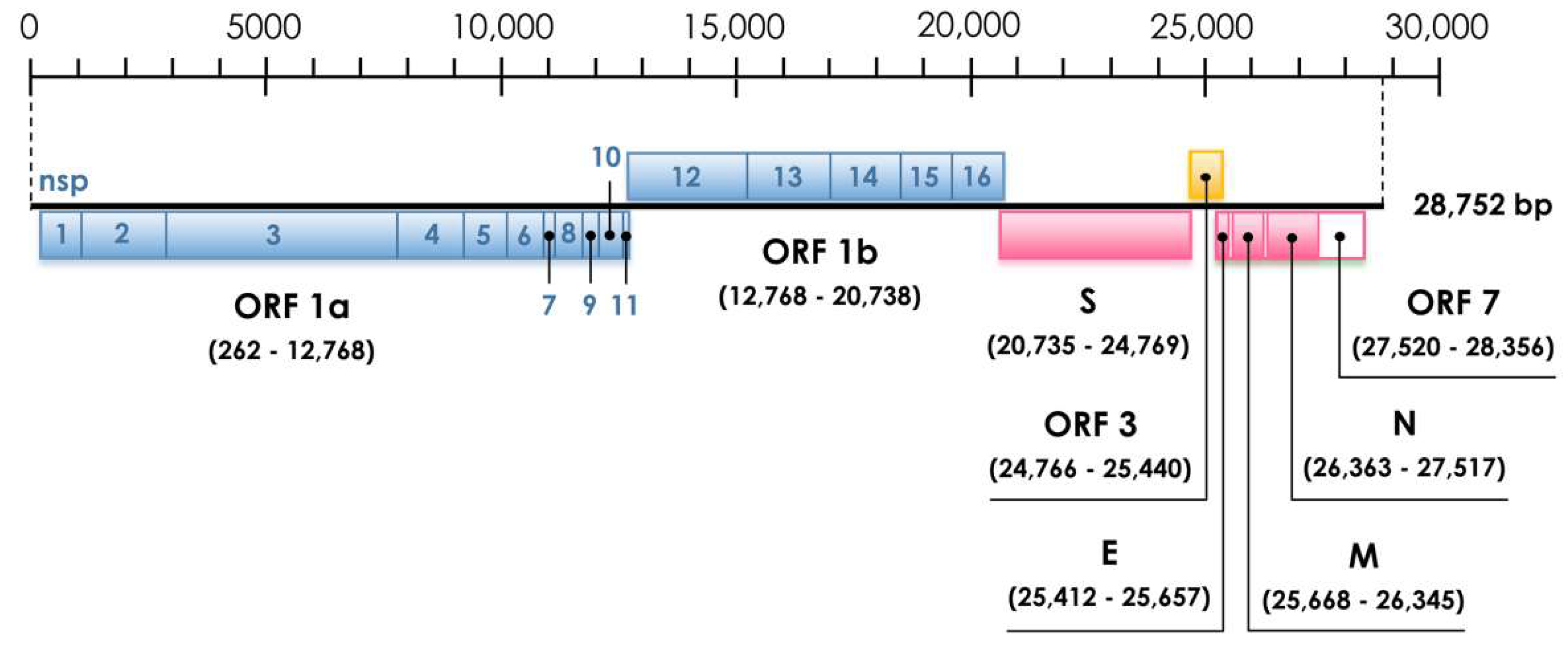 Viruses 13 02041 g001