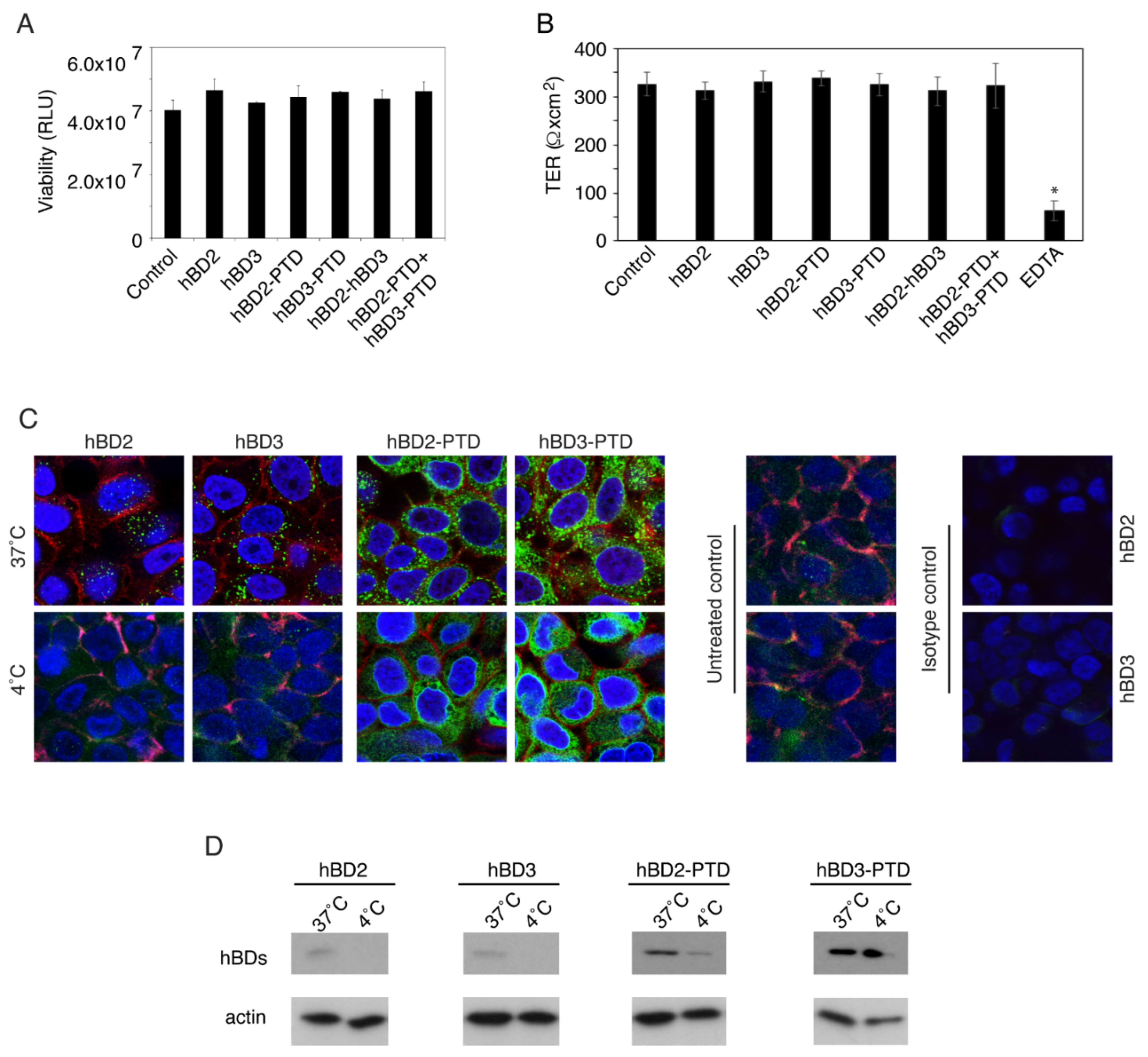 Viruses 13 02043 g001