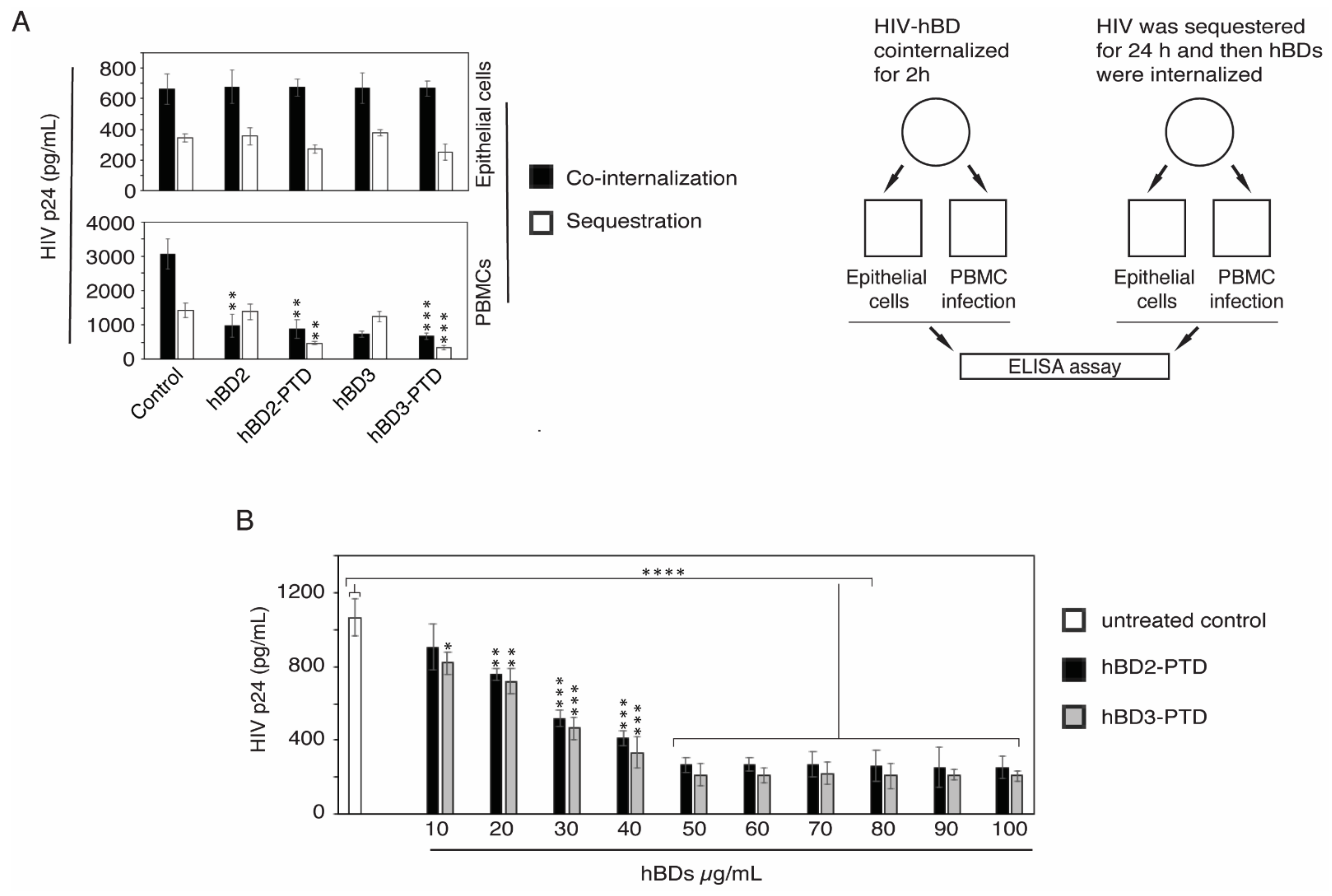 Viruses 13 02043 g002