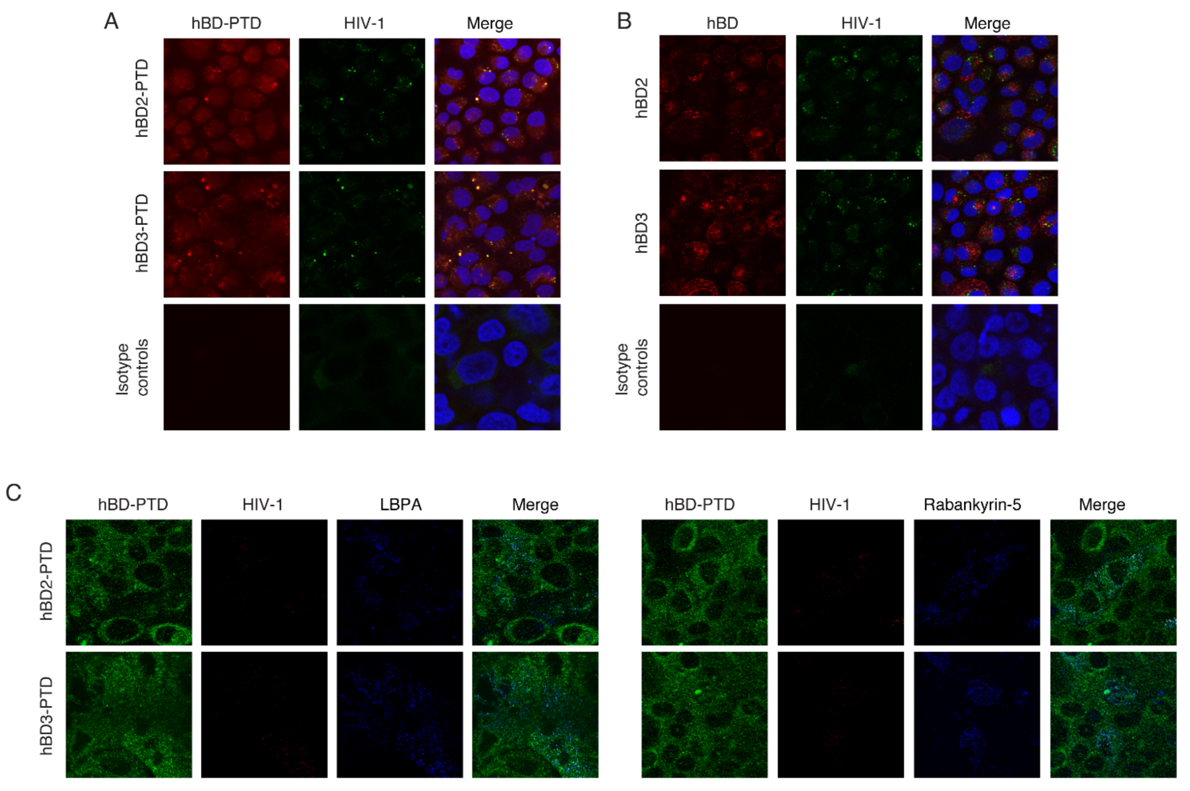 Viruses 13 02043 g004
