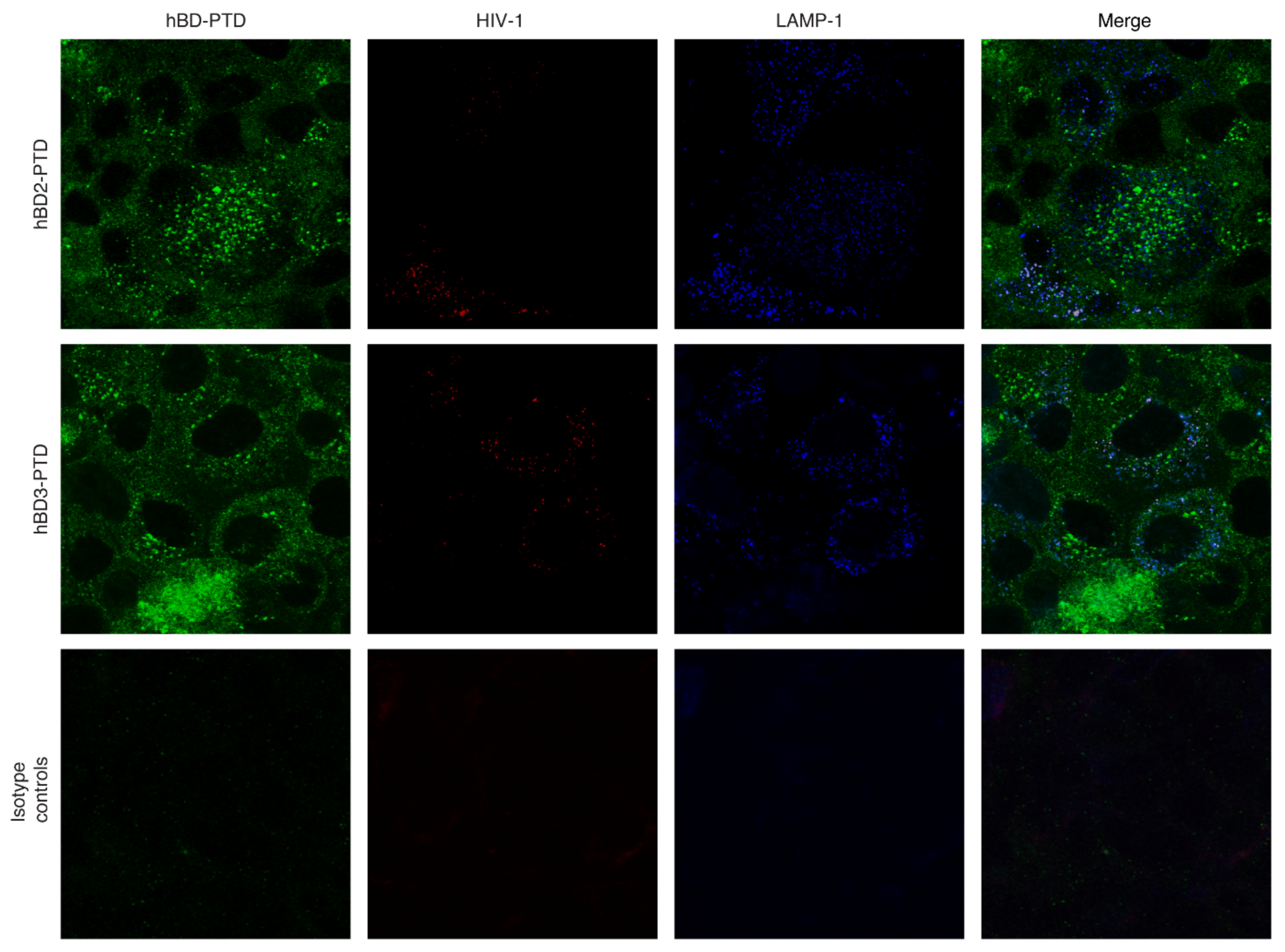 Viruses 13 02043 g006