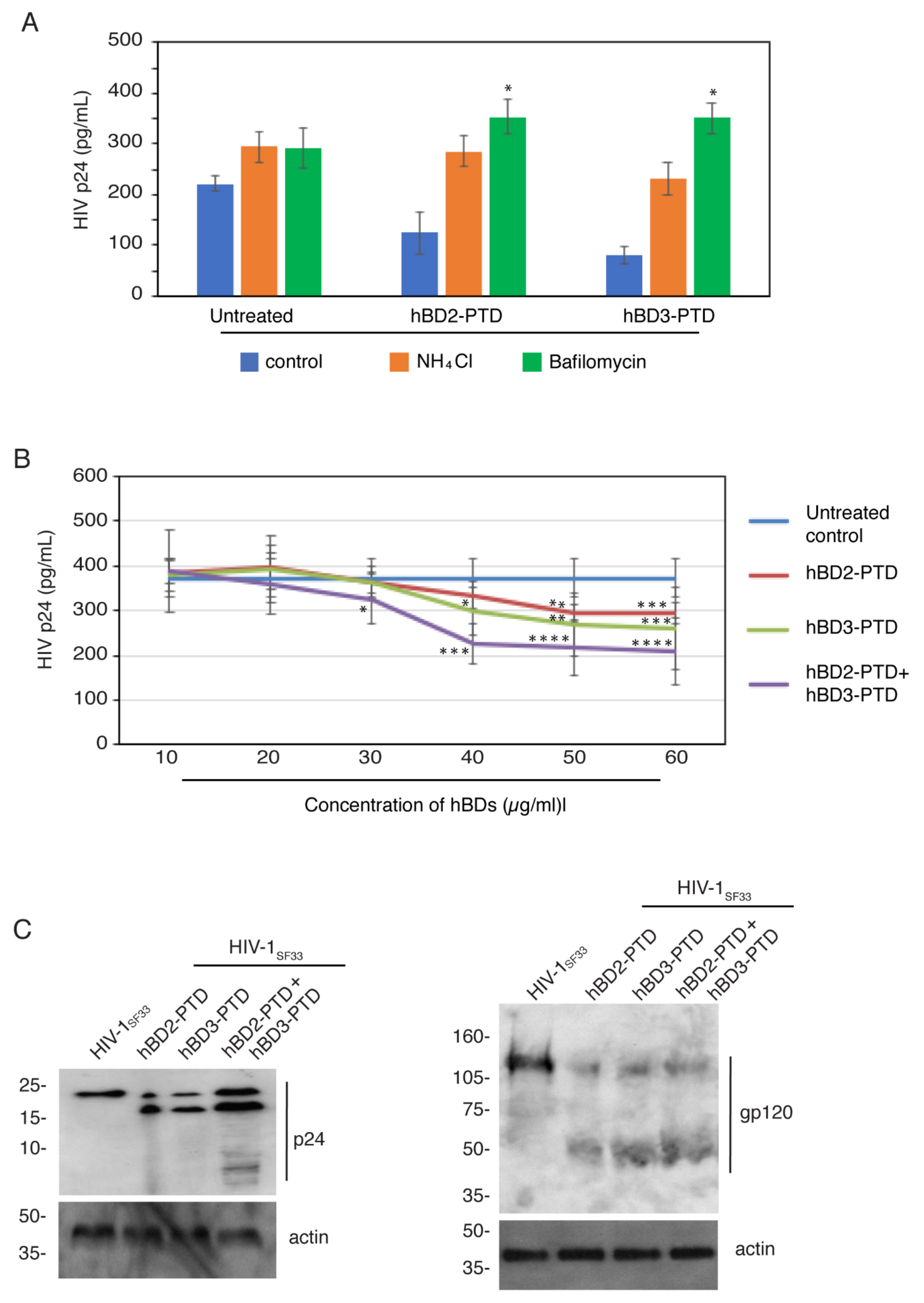 Viruses 13 02043 g007