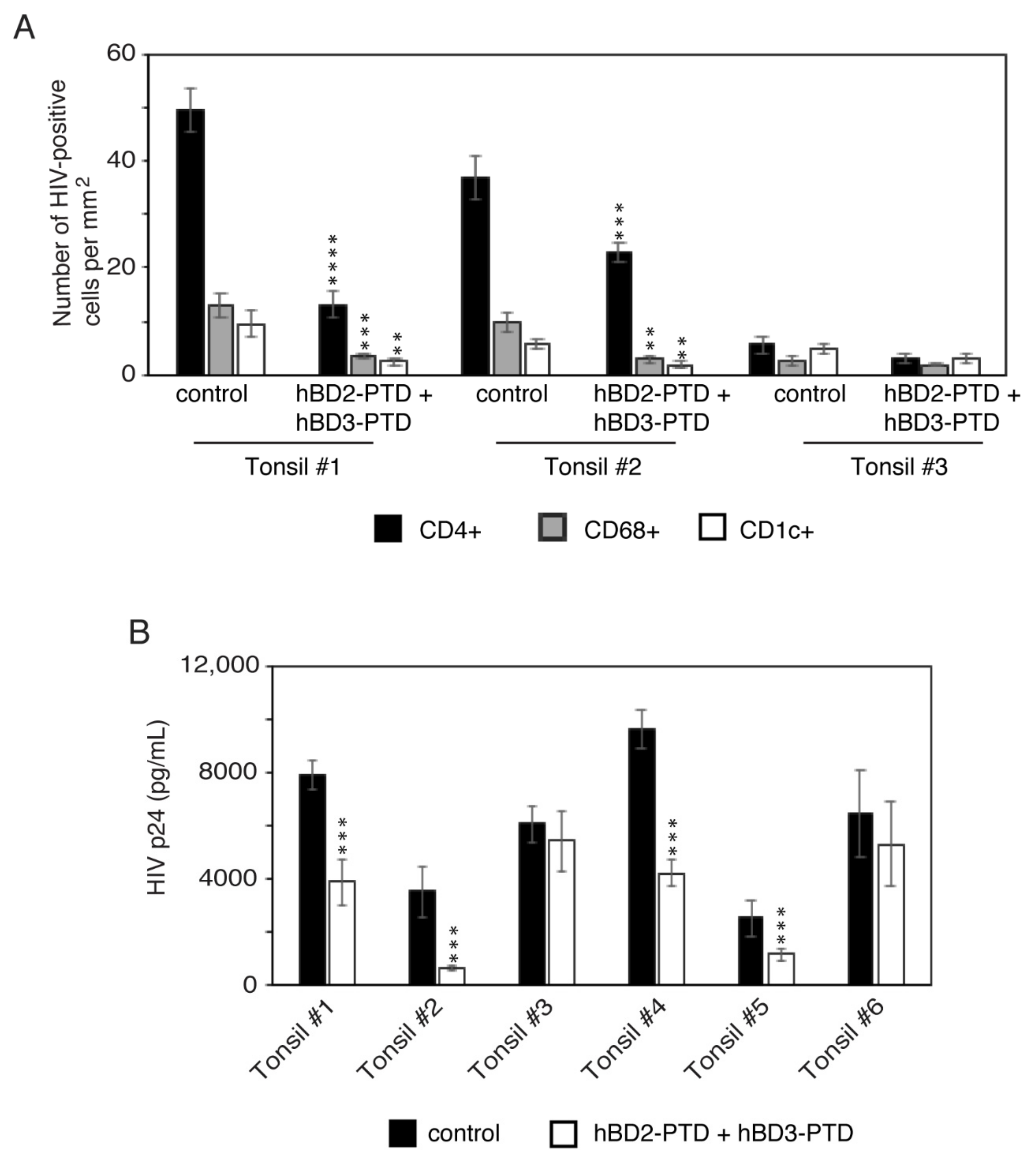 Viruses 13 02043 g011