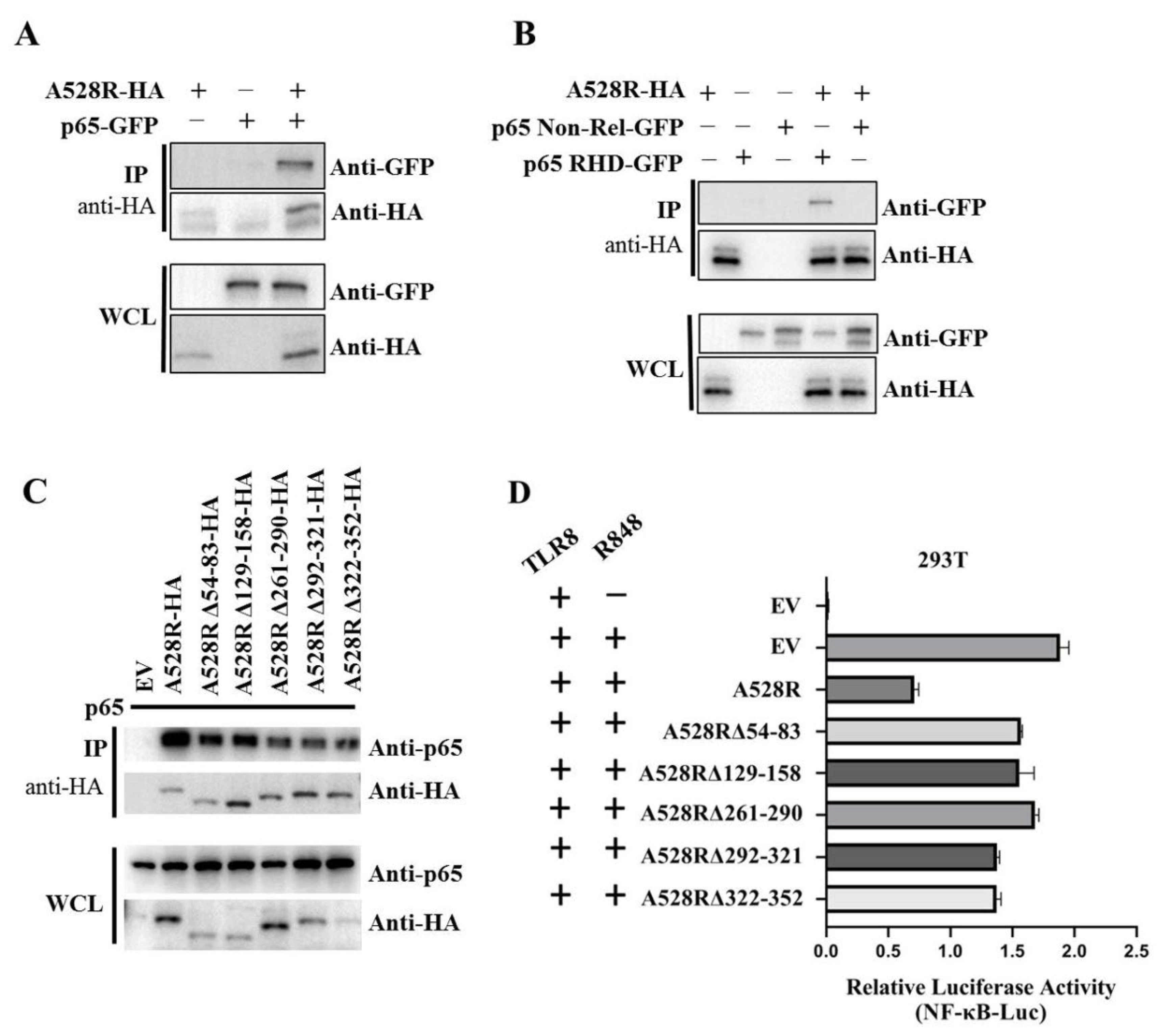 Viruses 13 02046 g004