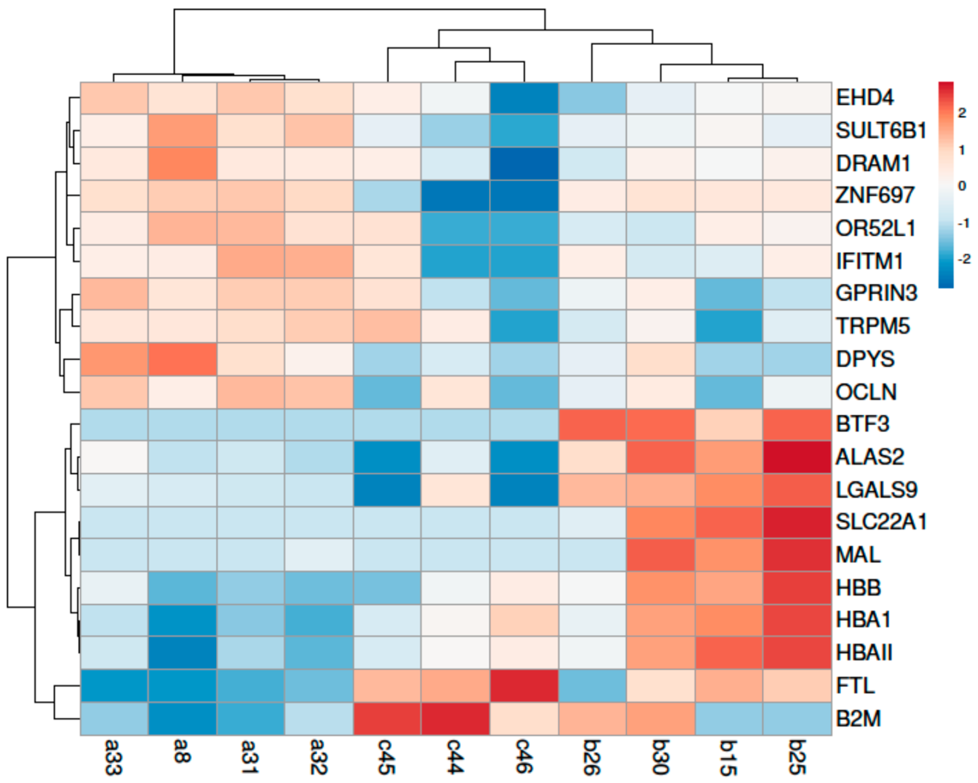 Viruses 13 02054 g003