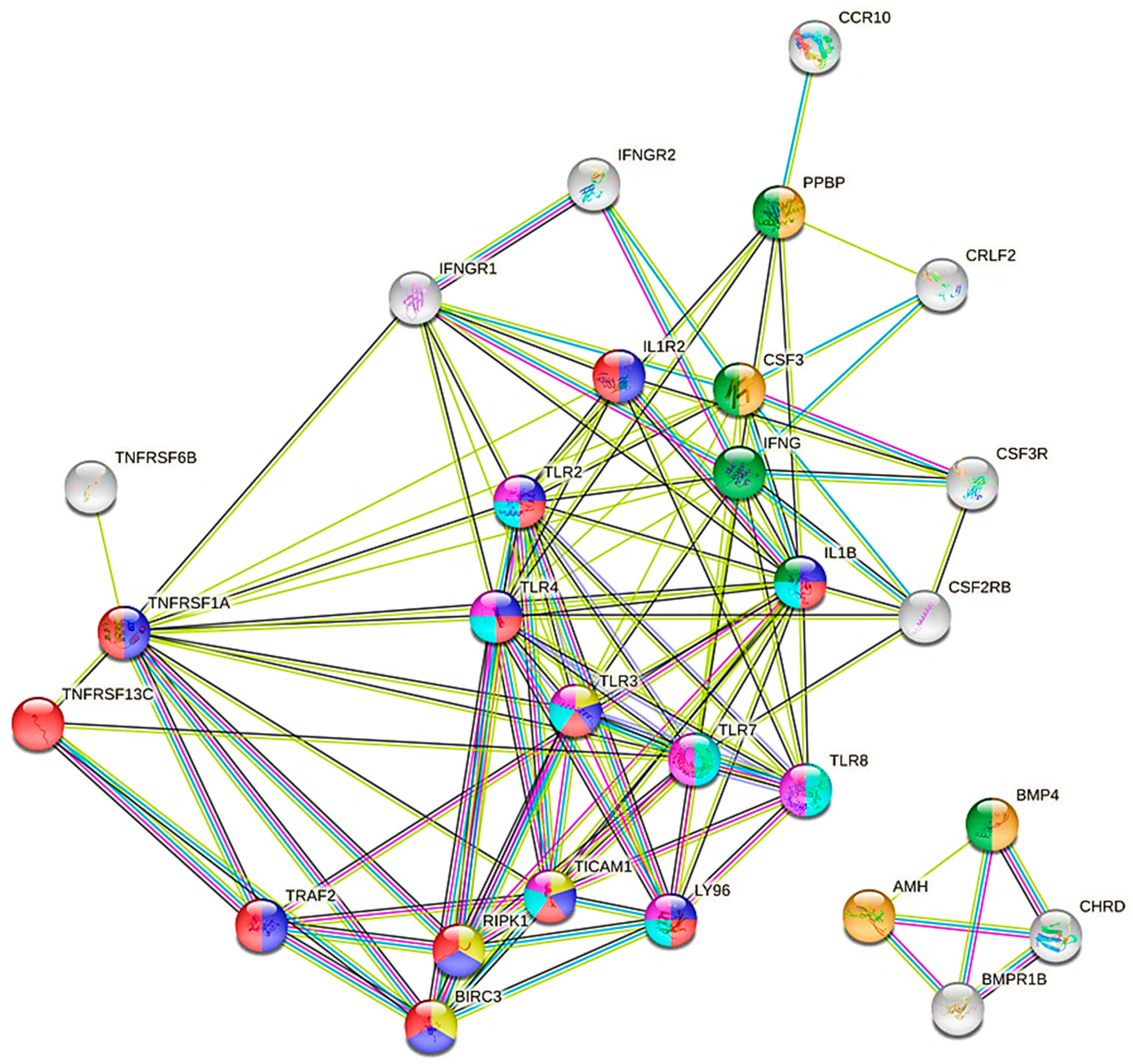 Viruses 13 02054 g004
