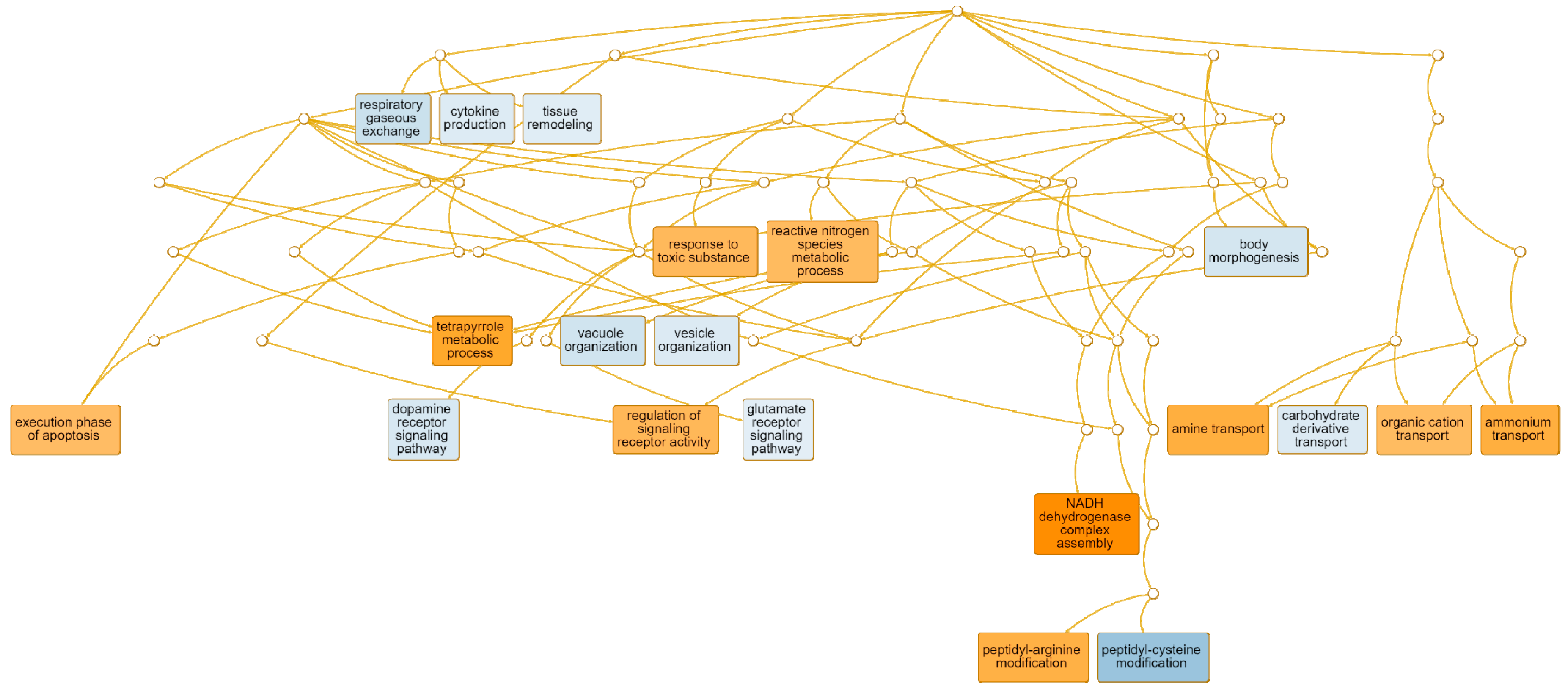 Viruses 13 02054 g006