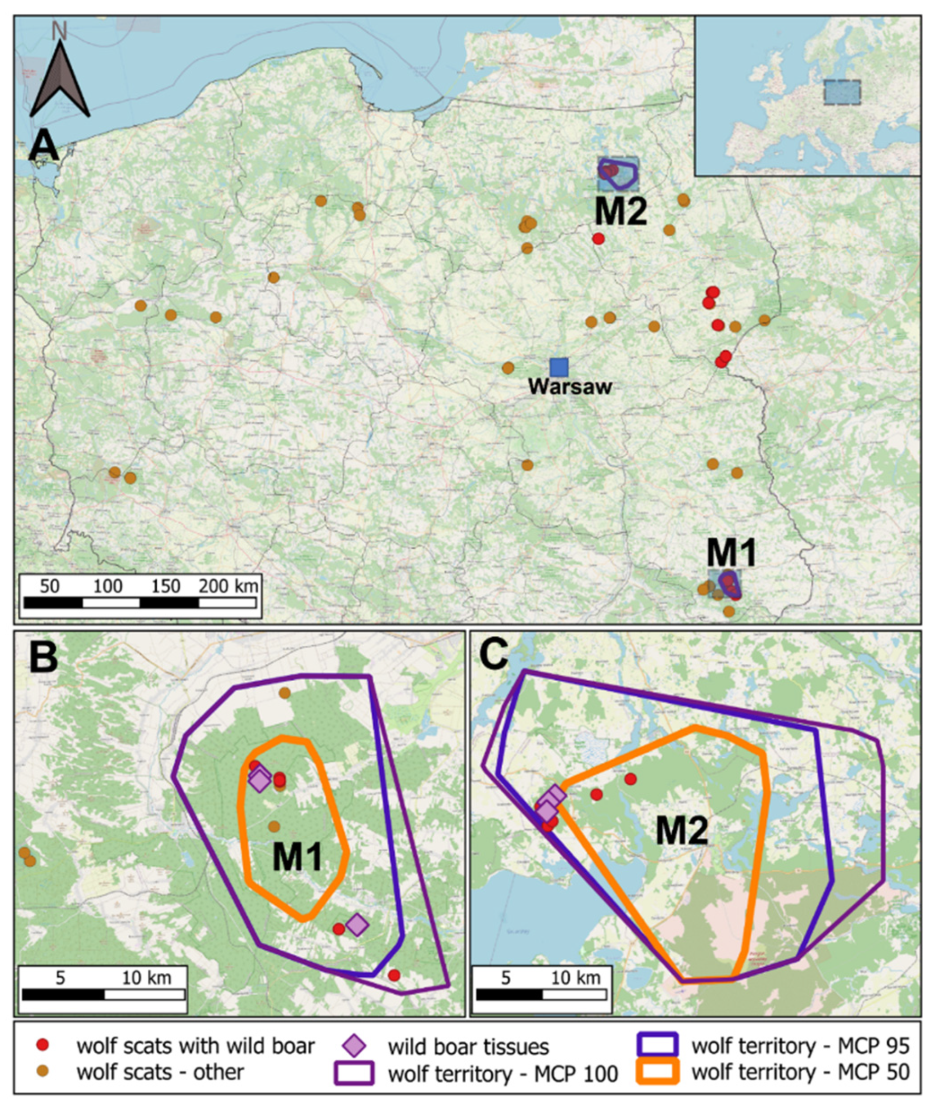 Viruses 13 02062 g001