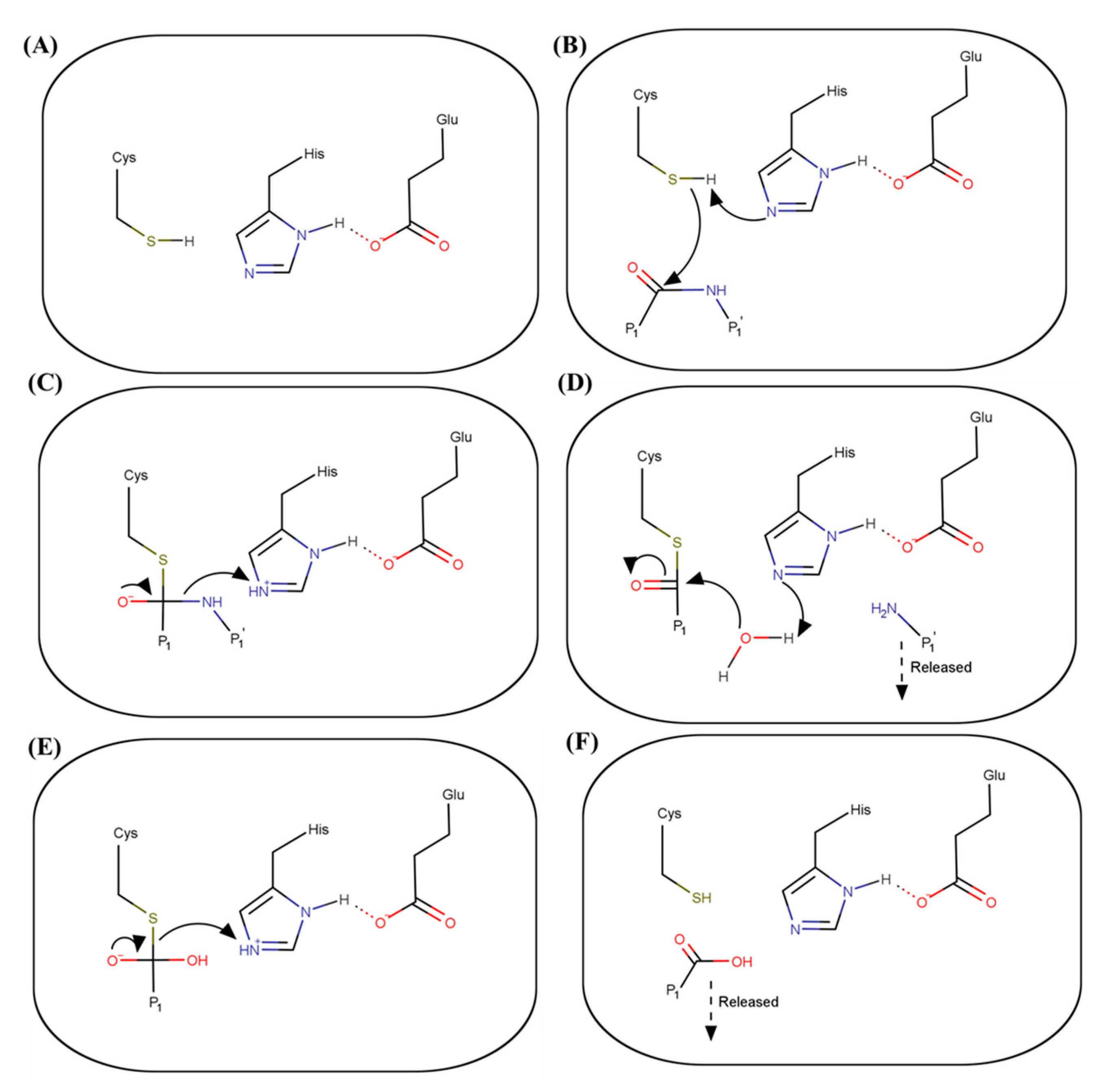 Viruses 13 02069 g002