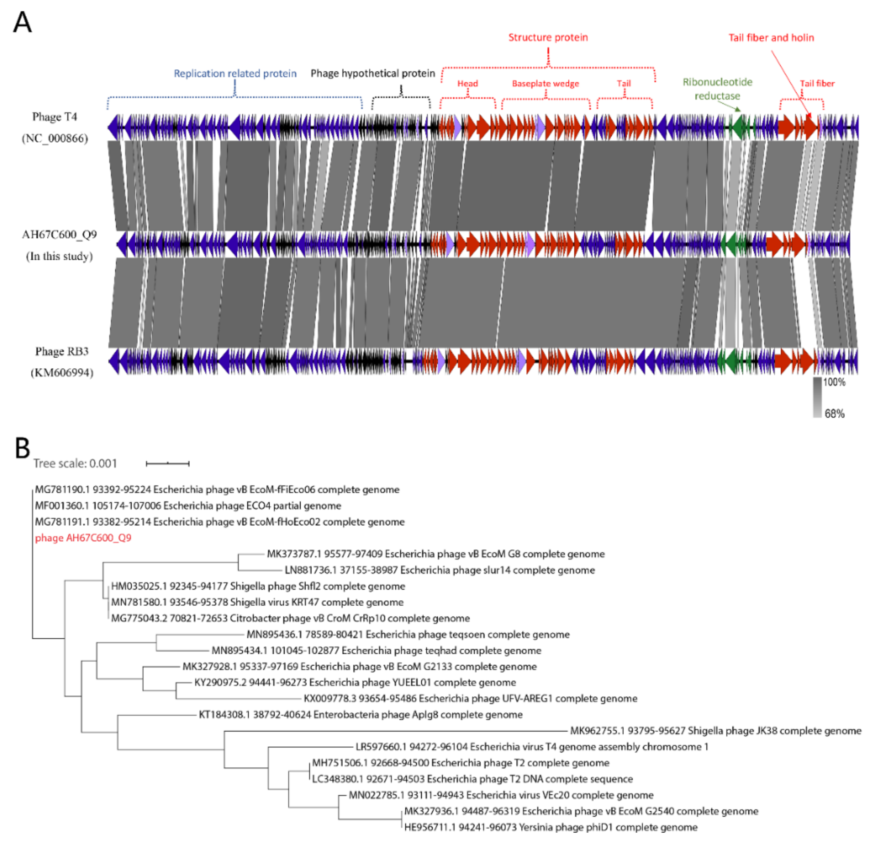 Viruses 13 02070 g005