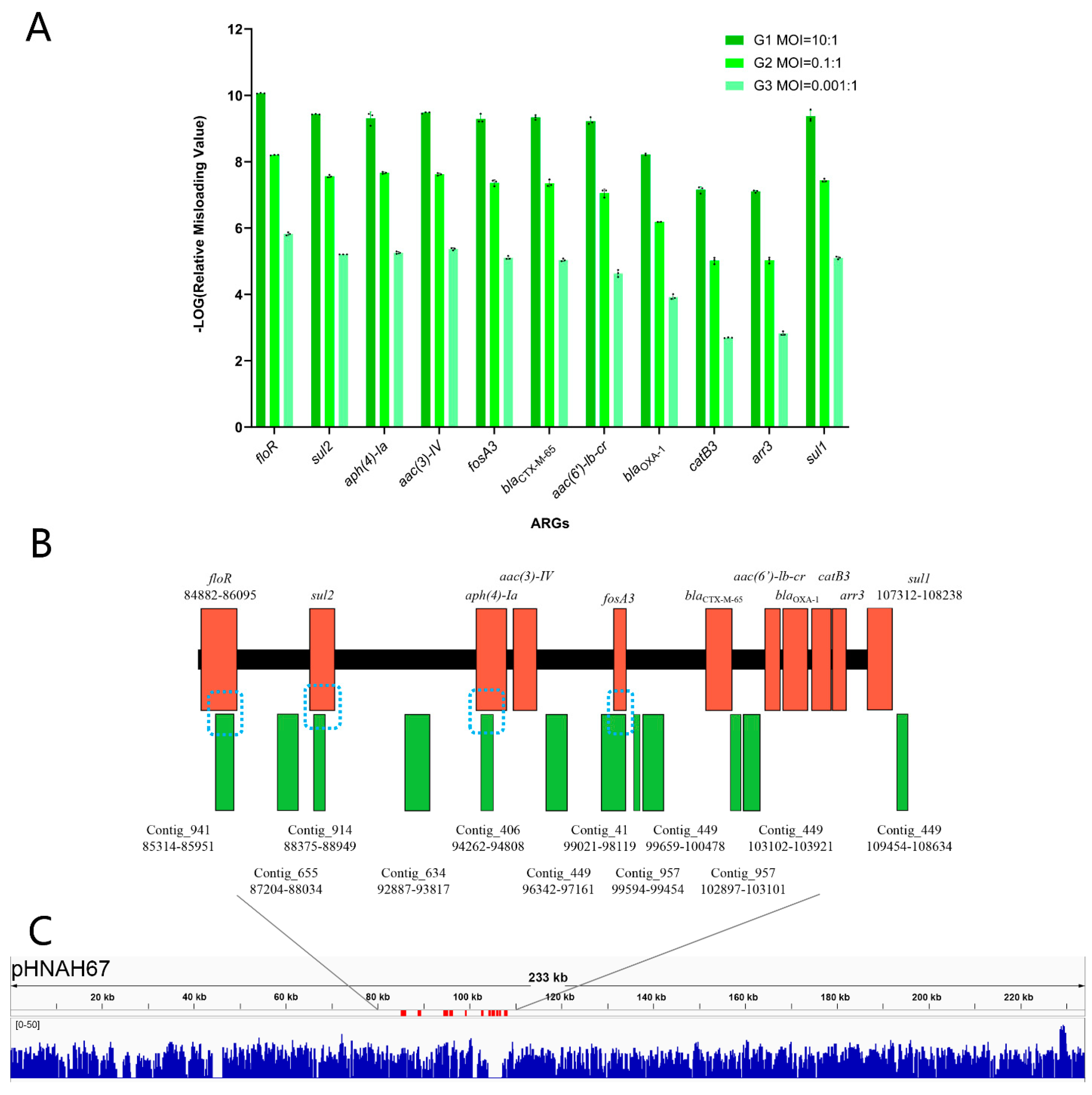 Viruses 13 02070 g006