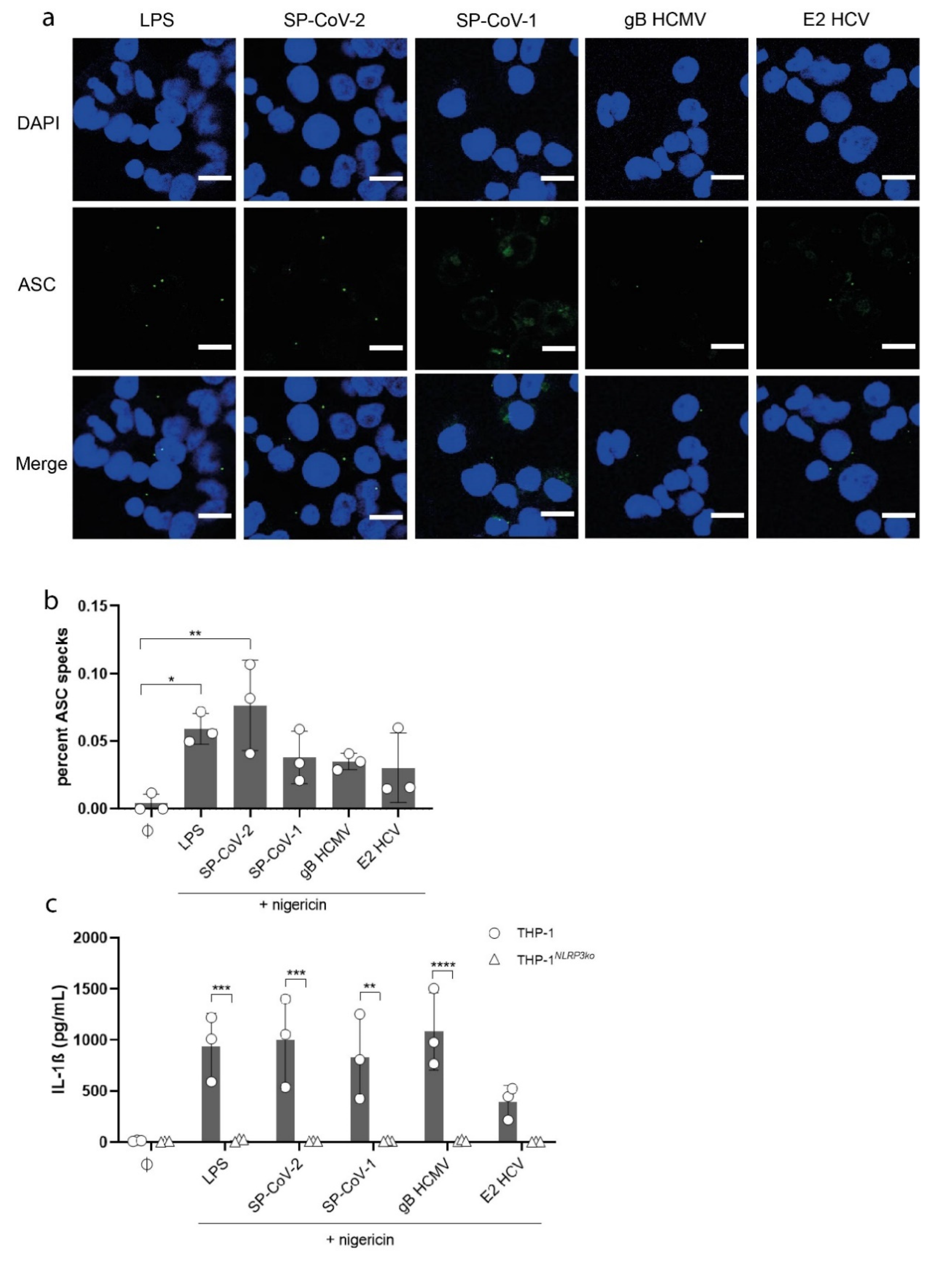 Viruses 13 02076 g002