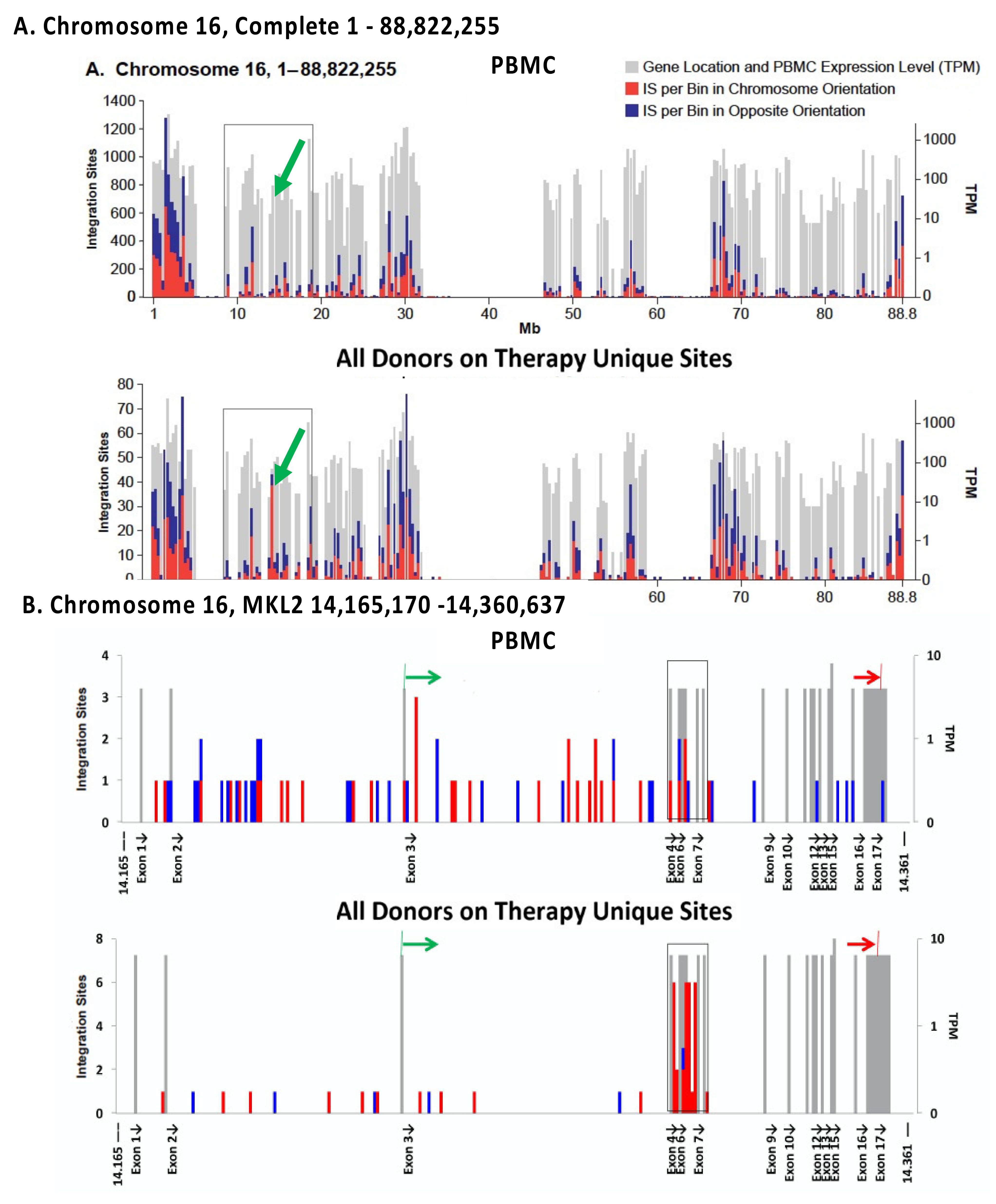 Viruses 13 02078 g005