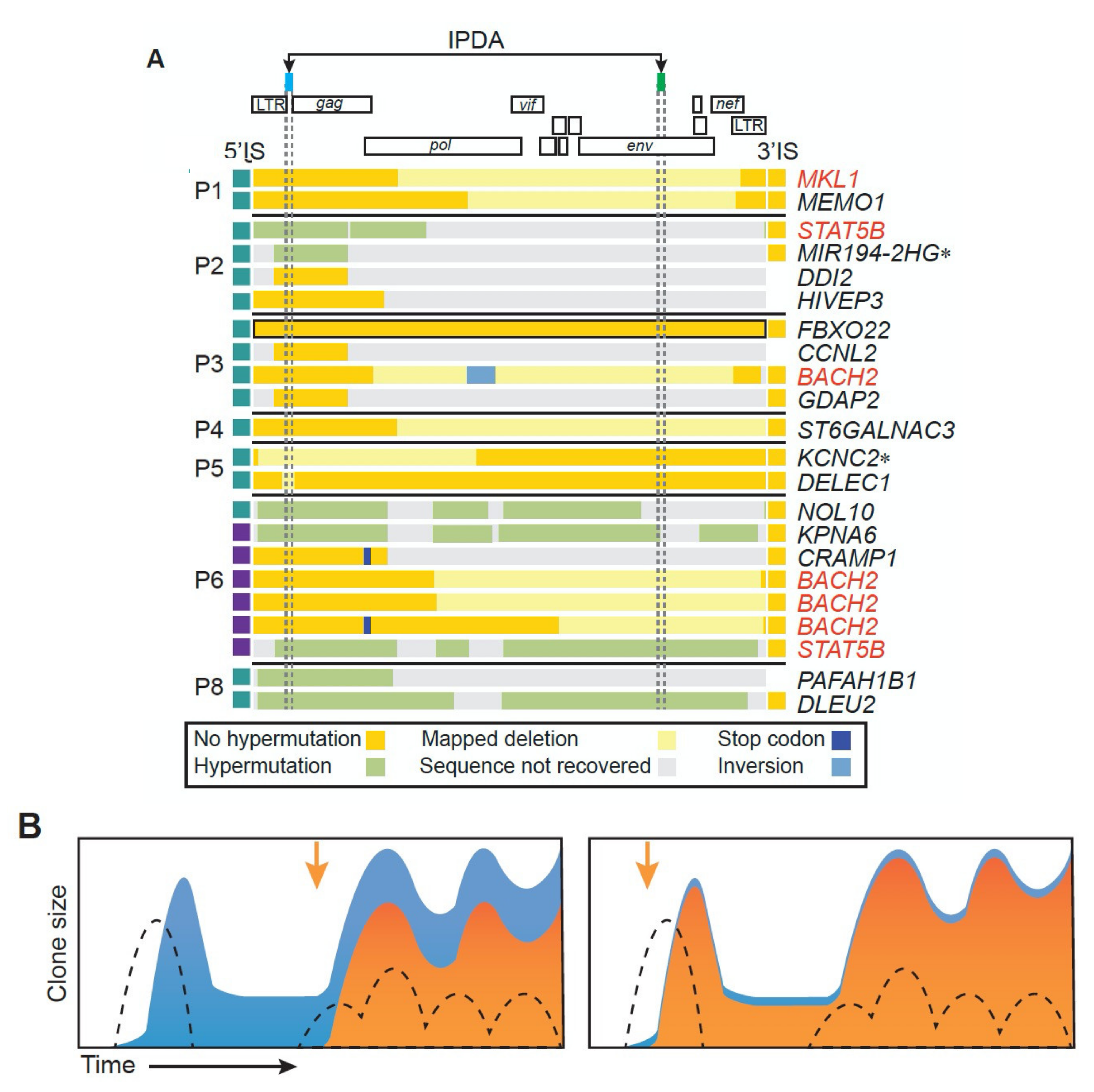 Viruses 13 02078 g007