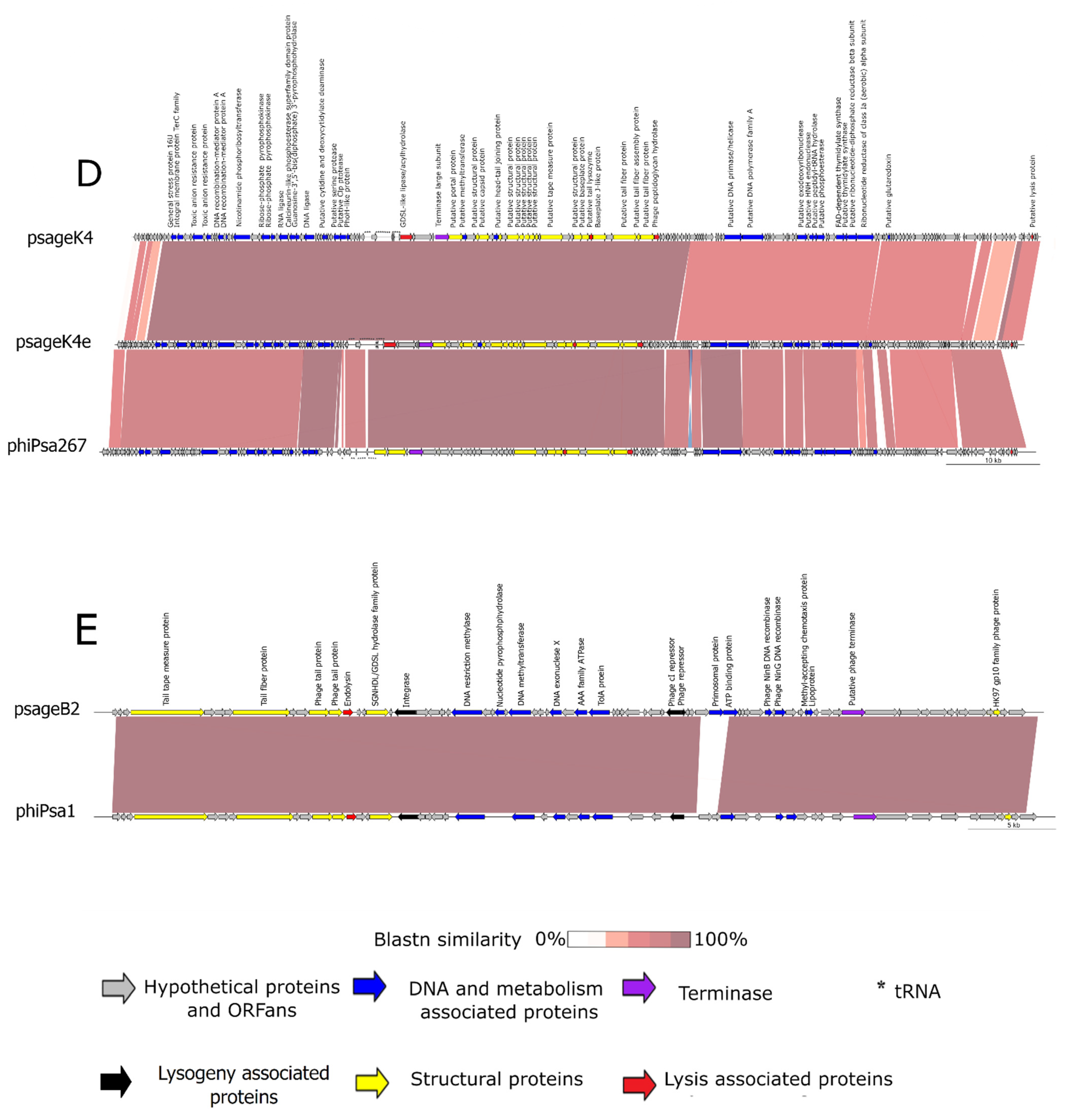 Viruses 13 02083 g002b