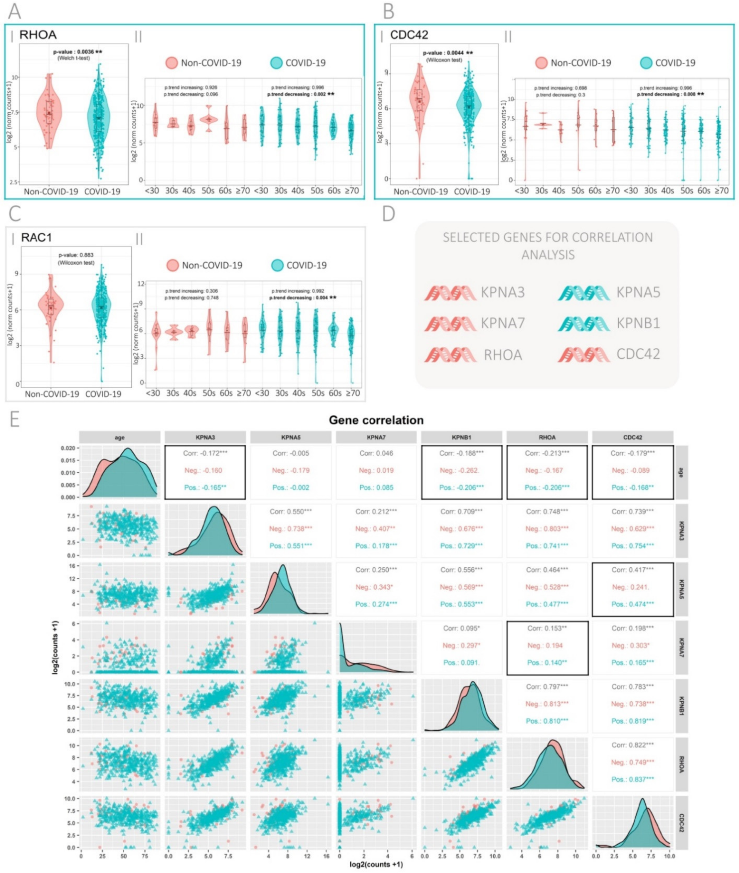 Viruses 13 02084 g002