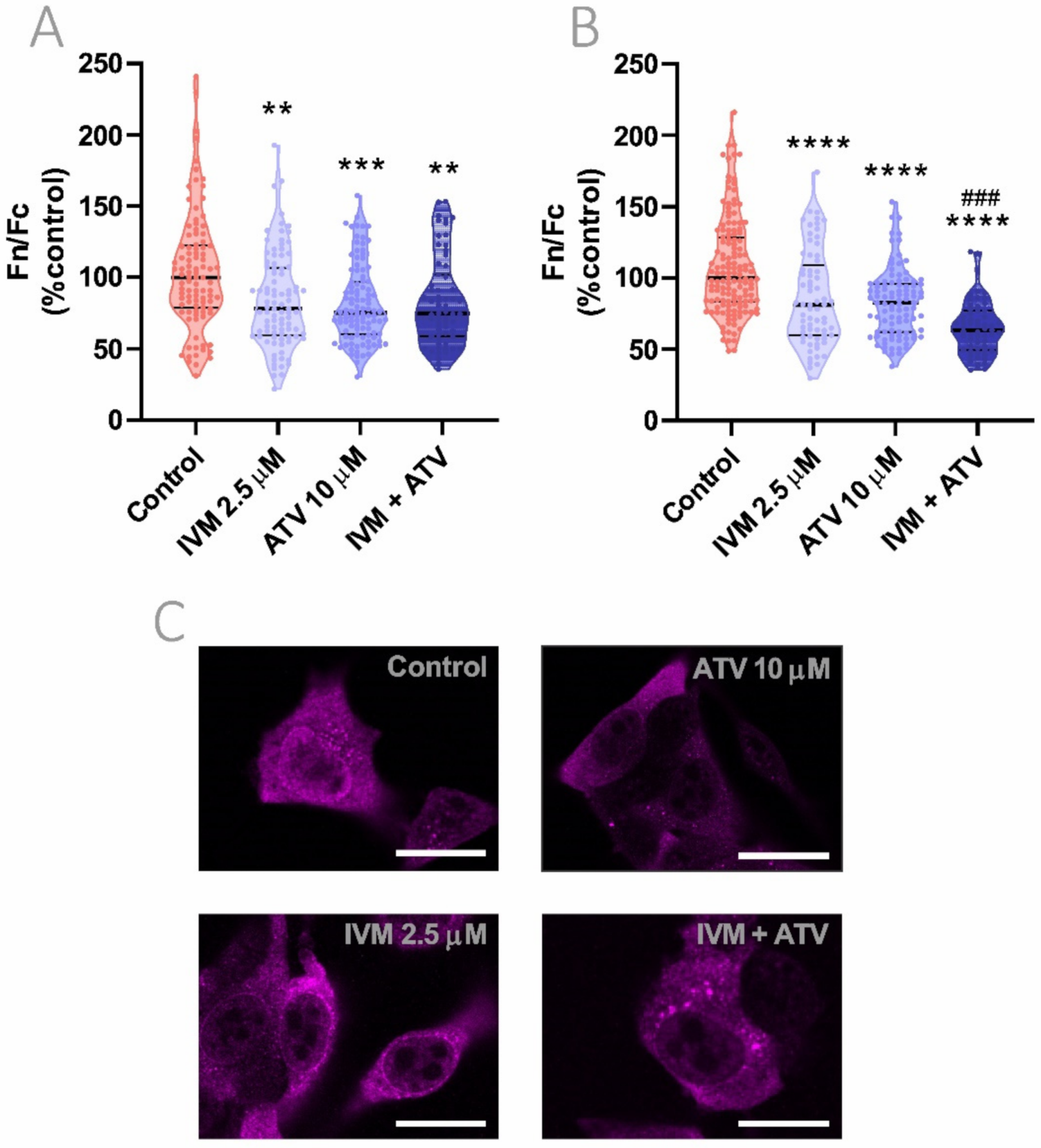 Viruses 13 02084 g005