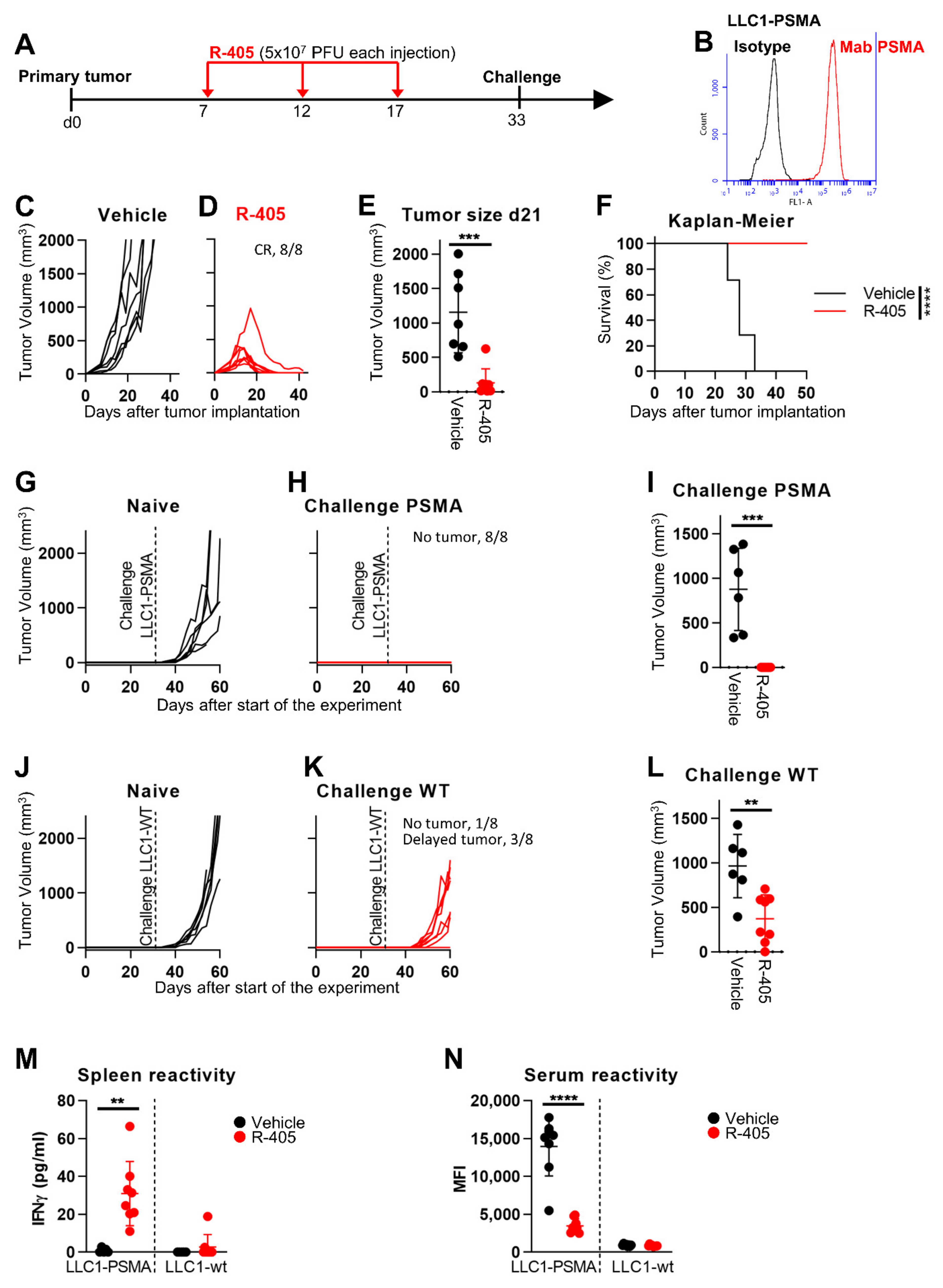 Viruses 13 02085 g003