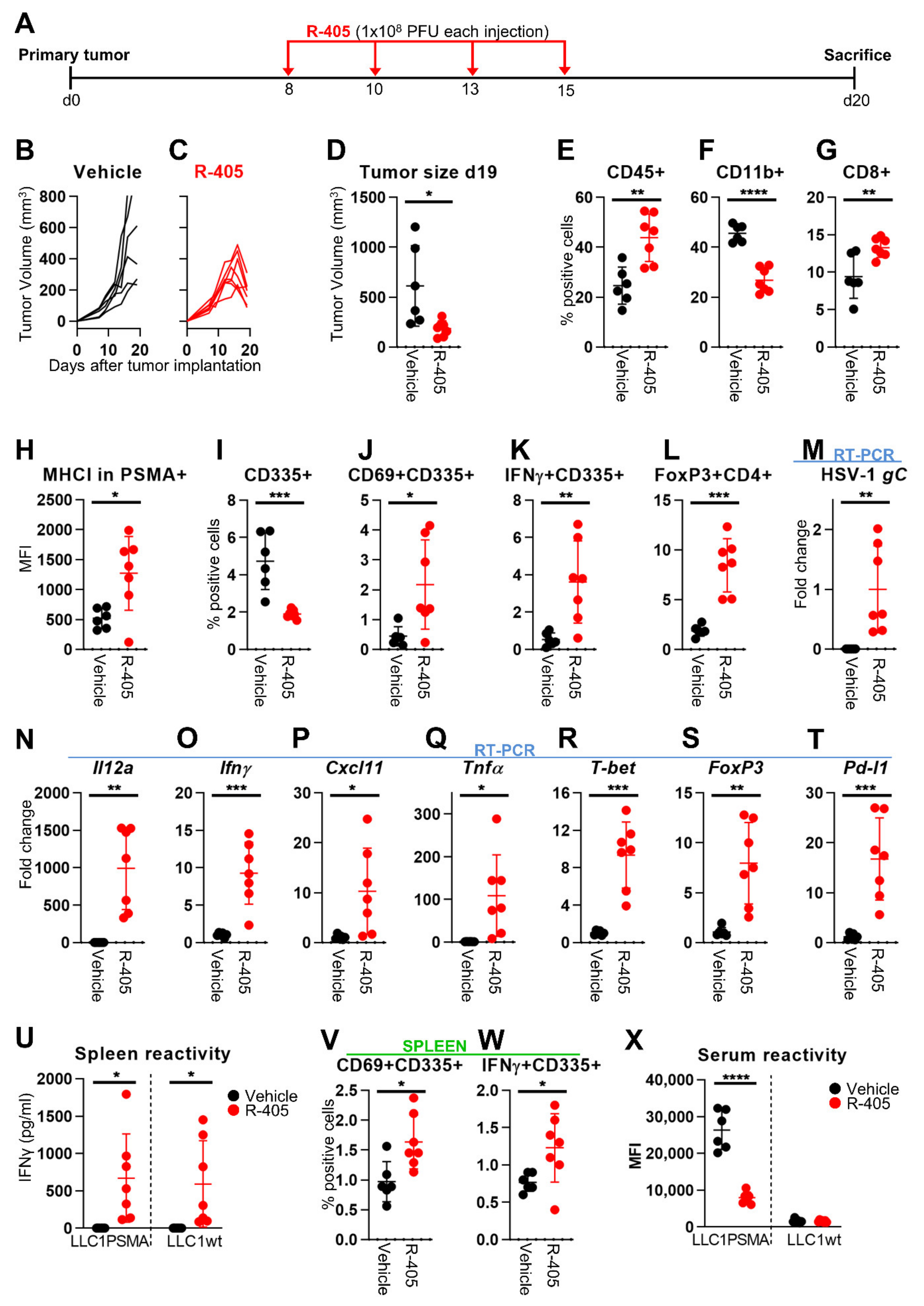 Viruses 13 02085 g004