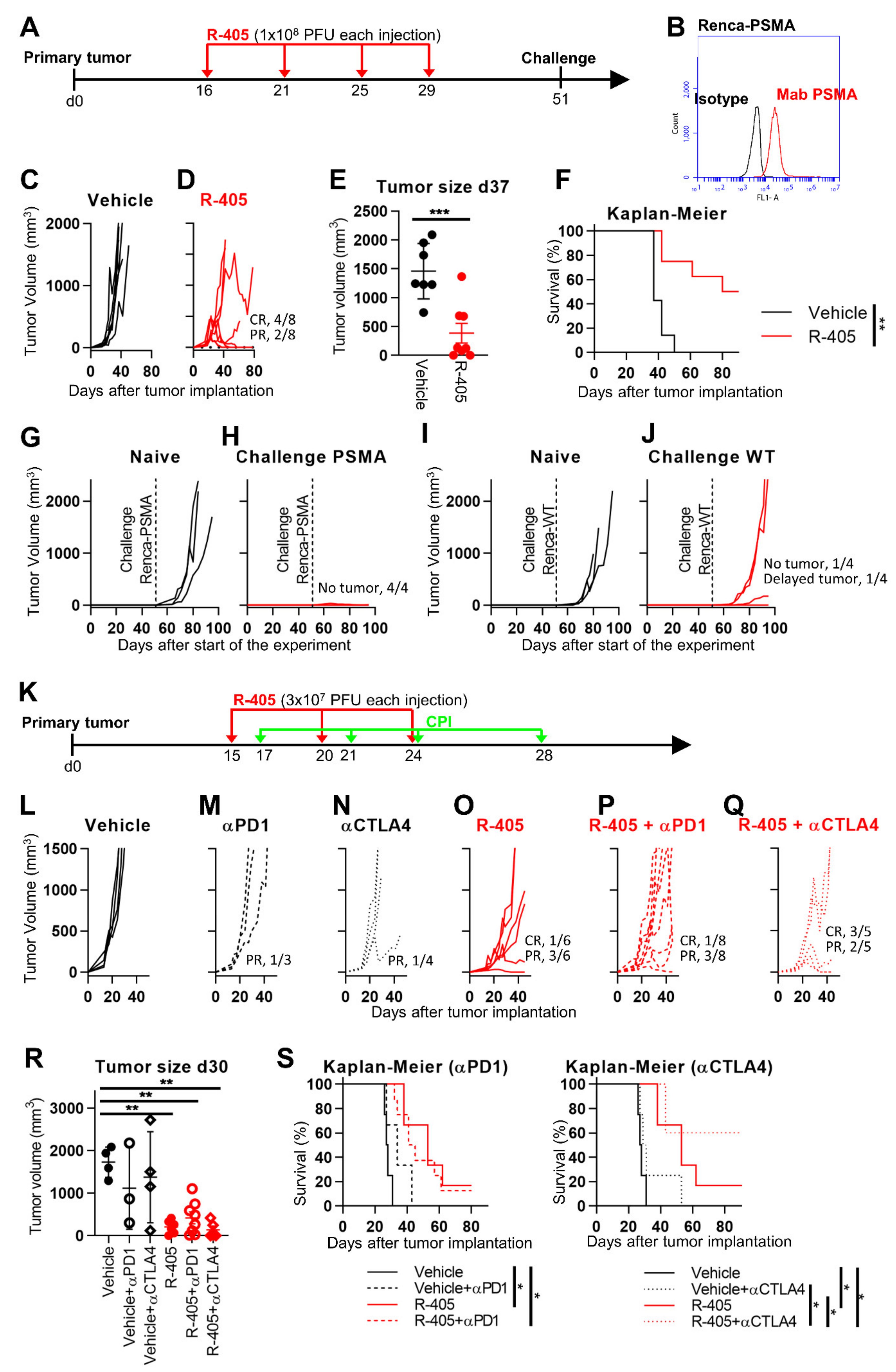 Viruses 13 02085 g006