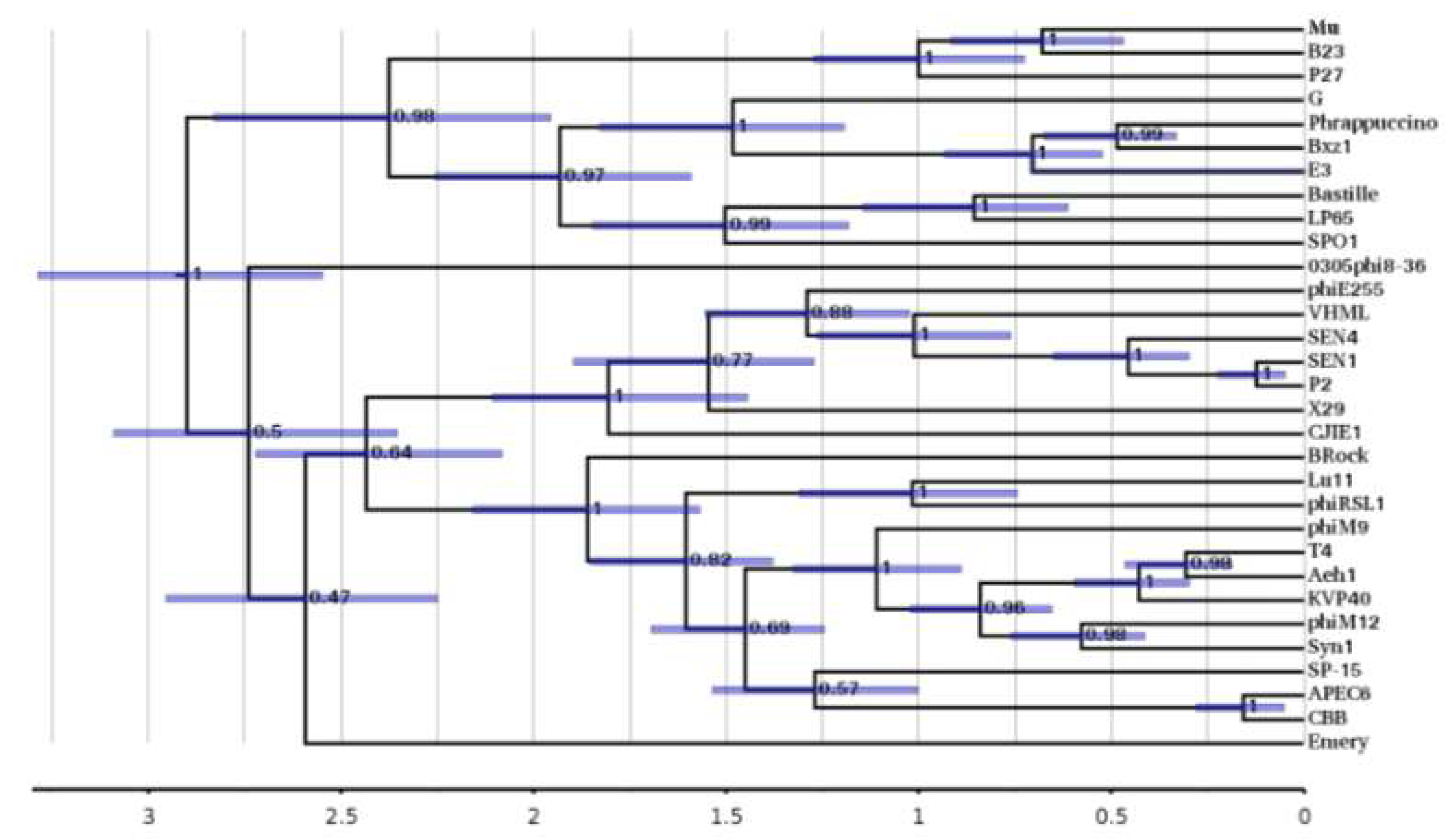 Viruses 13 02094 g009 Viruses 13 02094 g009