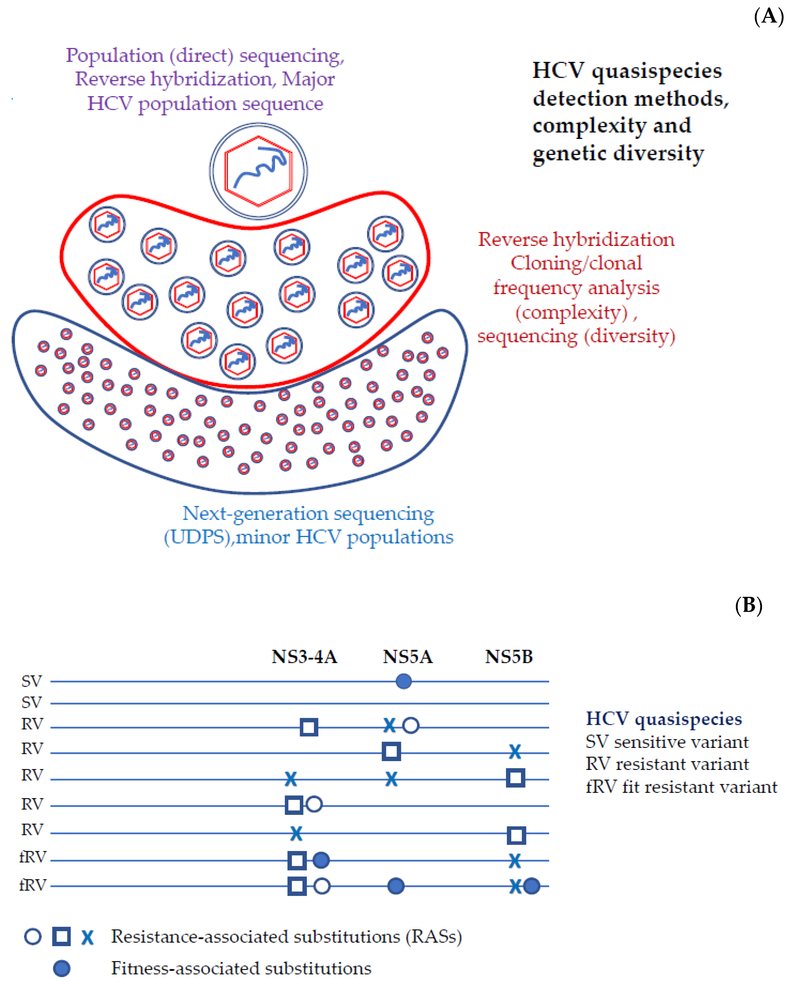 Viruses 13 02096 g001
