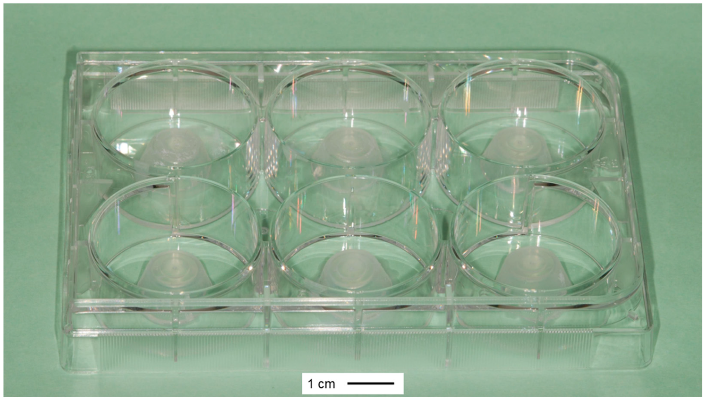 Viruses 13 02102 g001