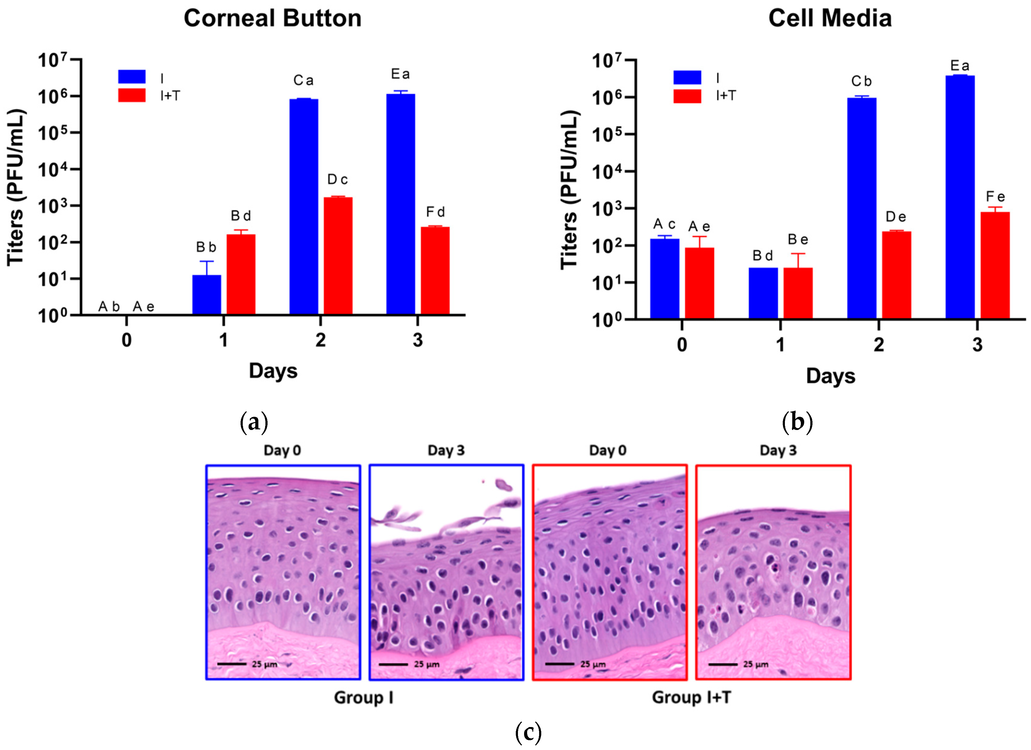 Viruses 13 02102 g004
