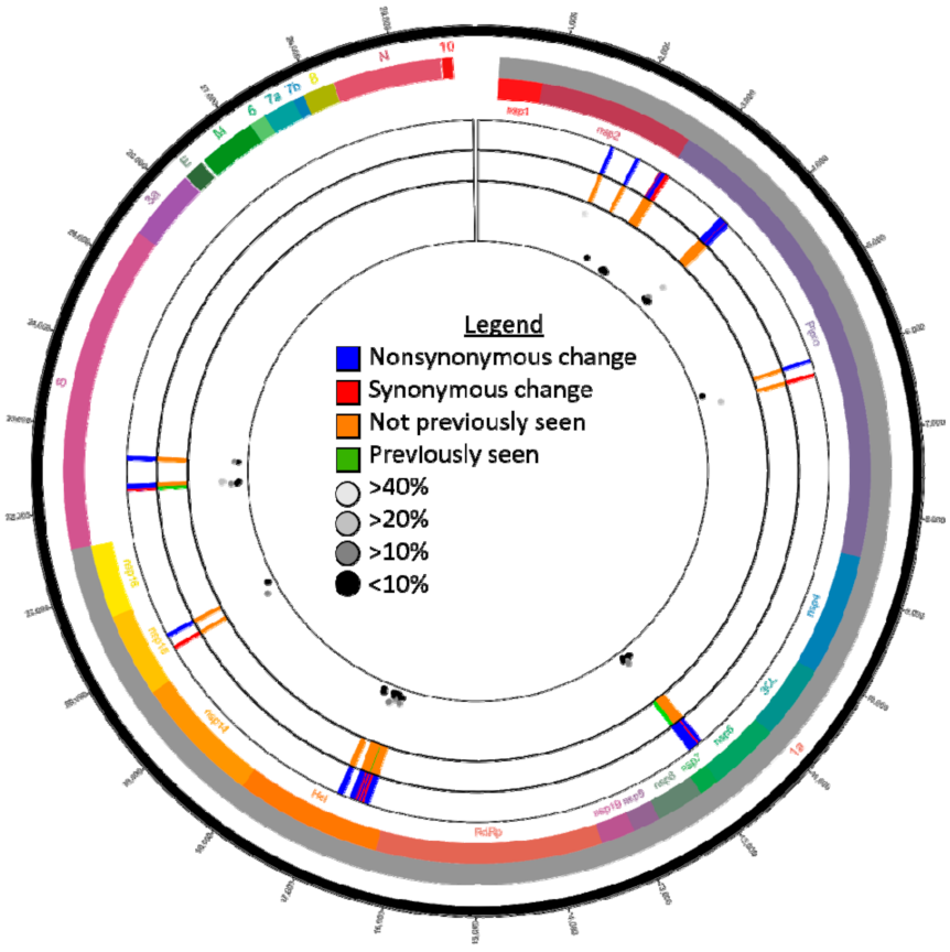 Viruses 13 02104 g001