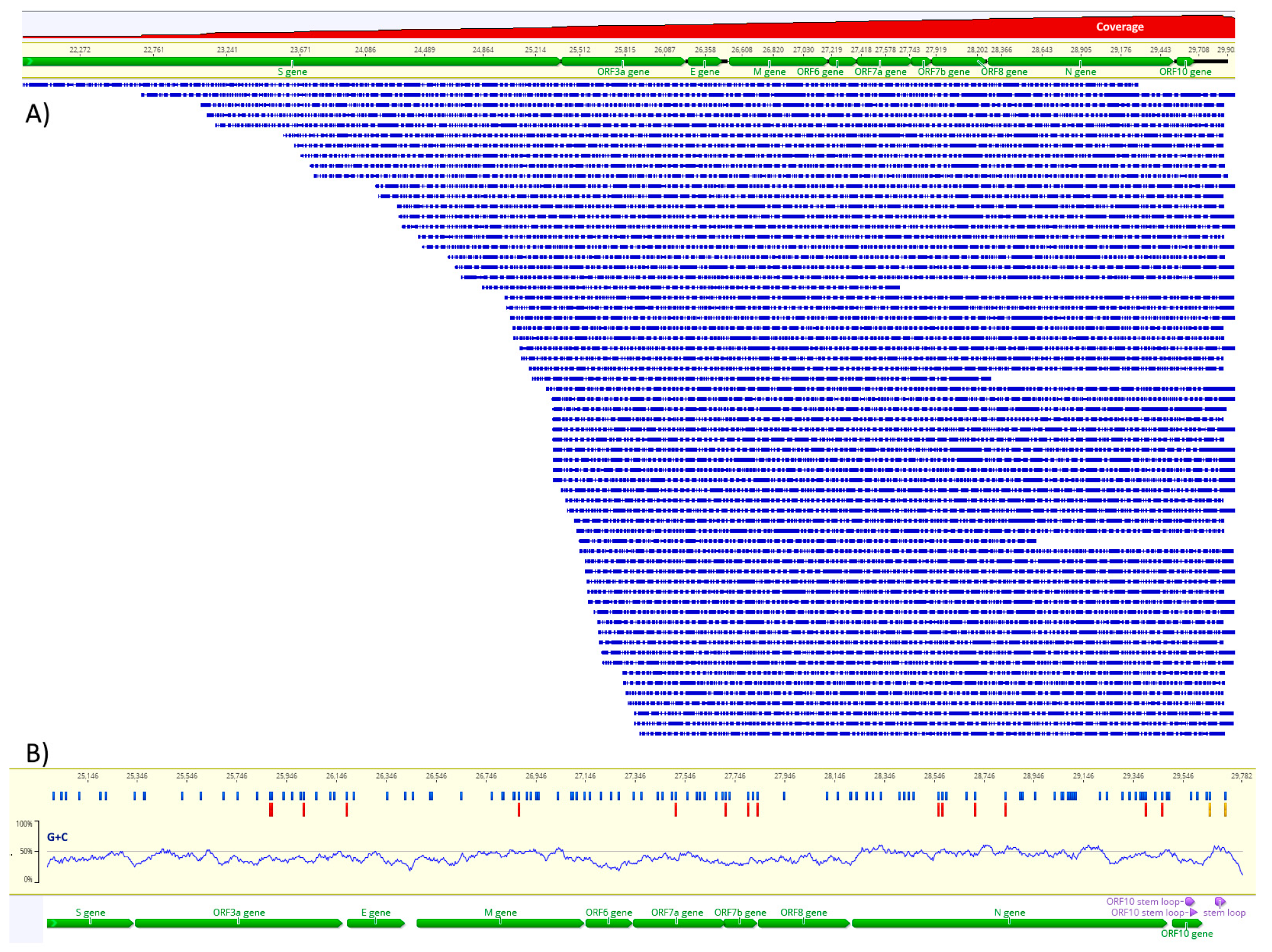 Viruses 13 02108 g001