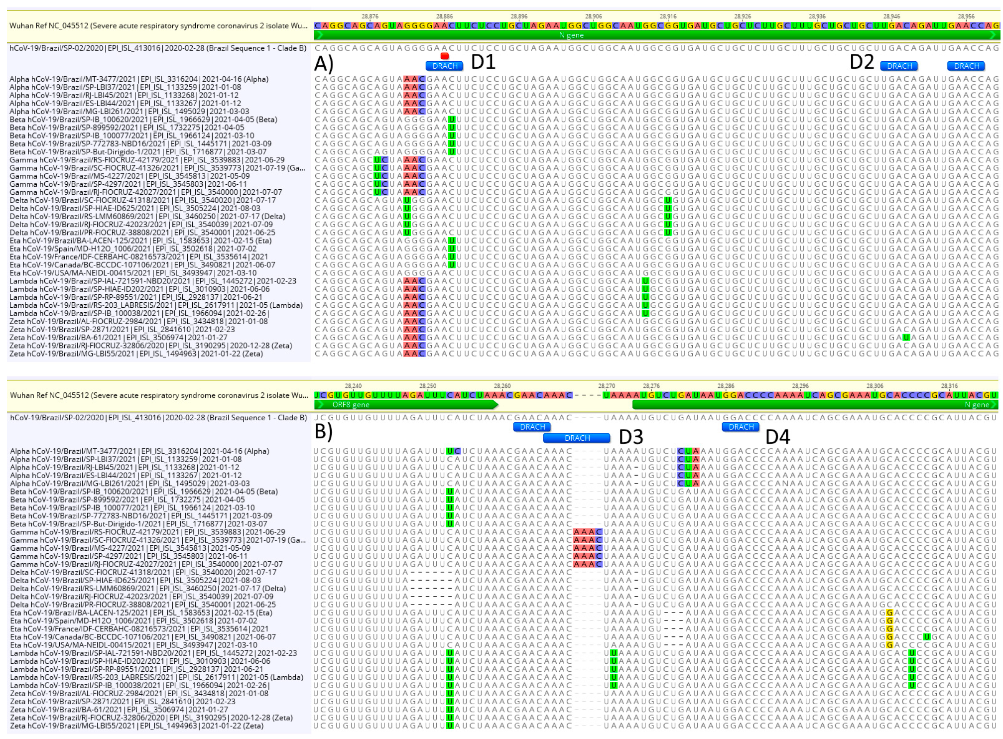 Viruses 13 02108 g002