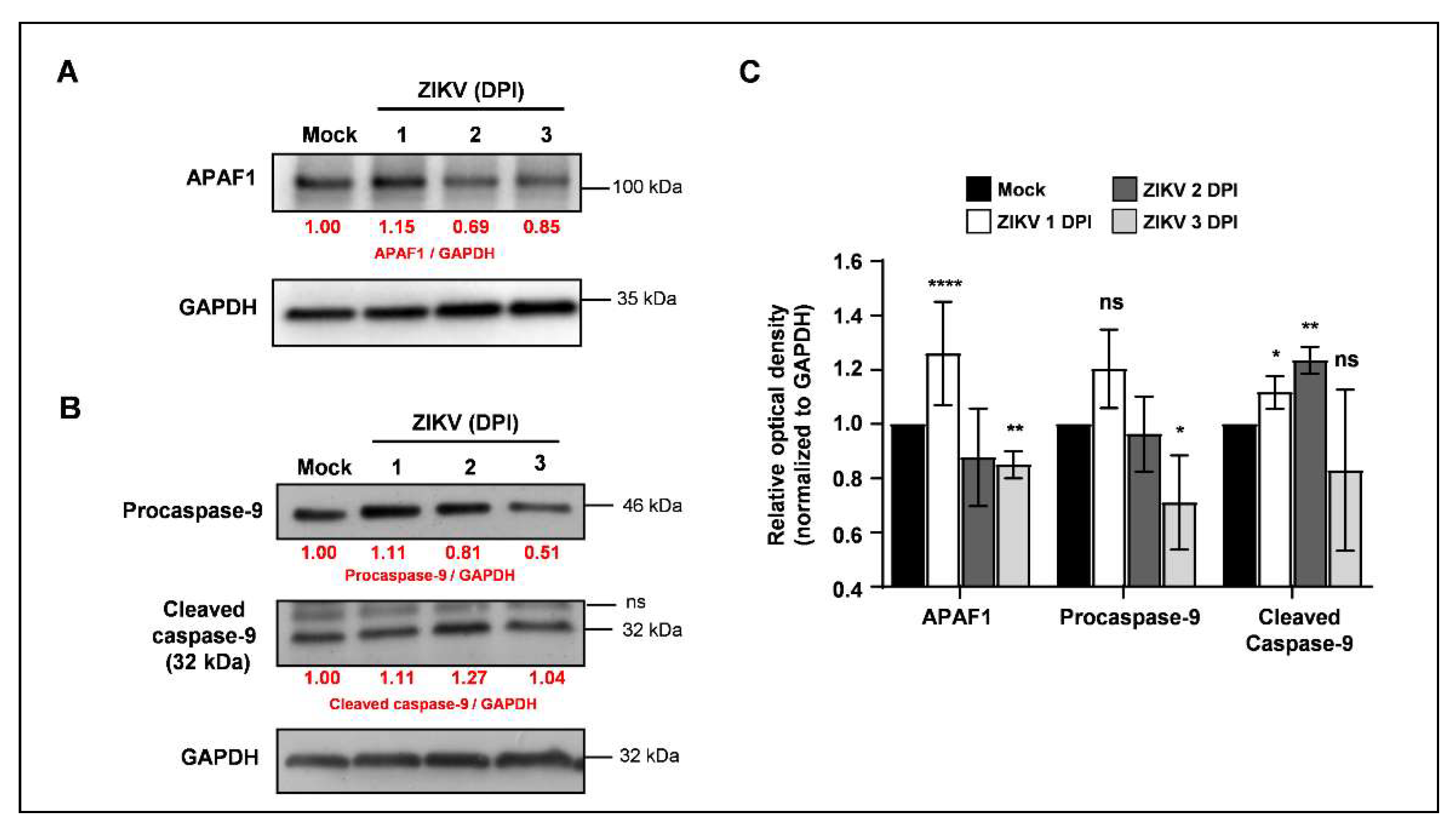 Viruses 13 02111 g003