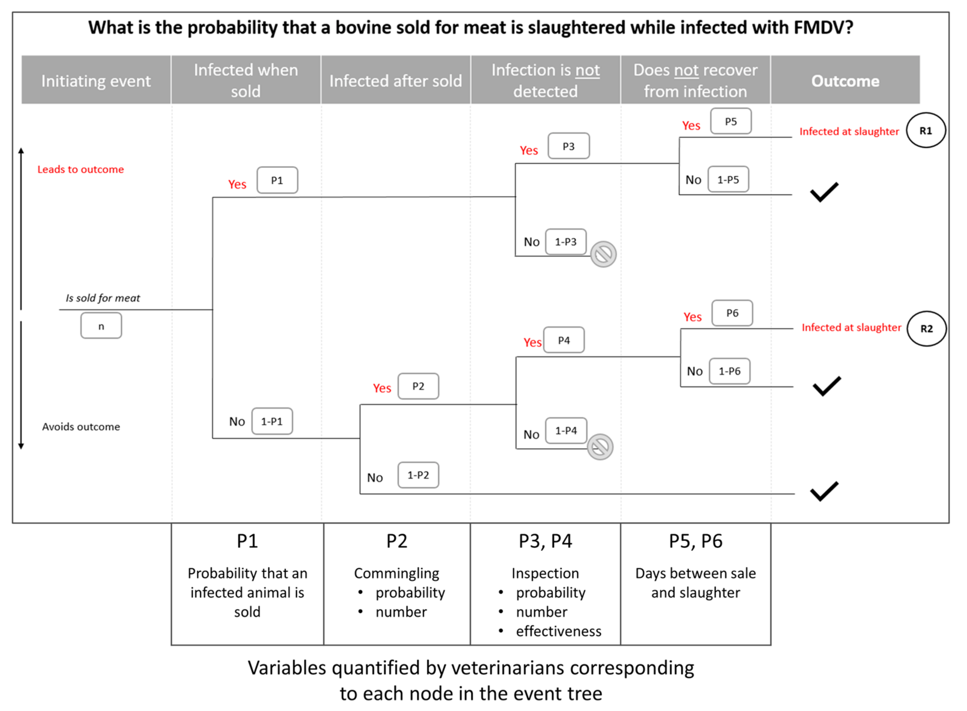 Viruses 13 02112 g002