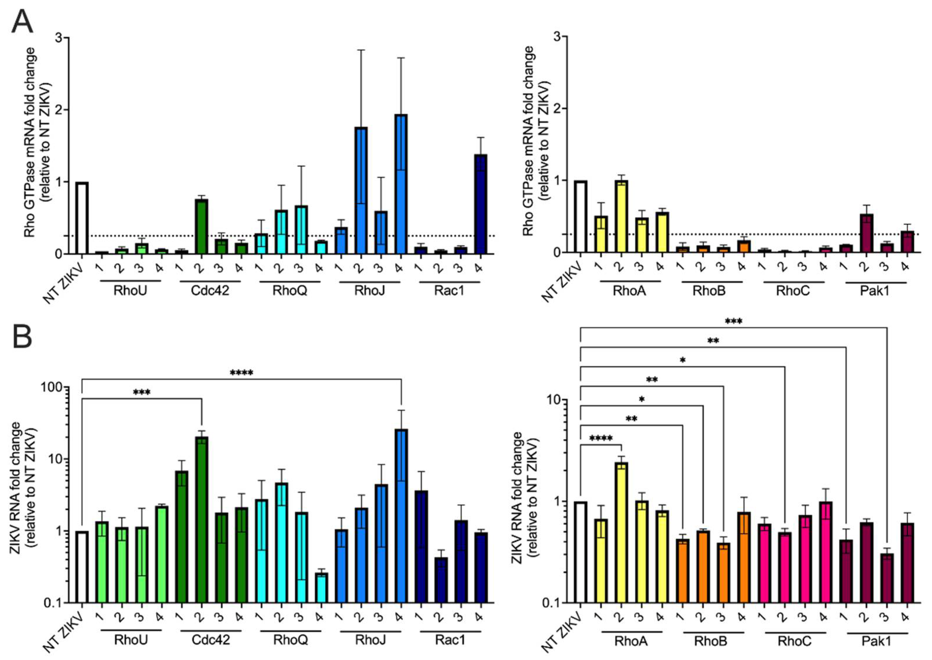 Viruses 13 02113 g006