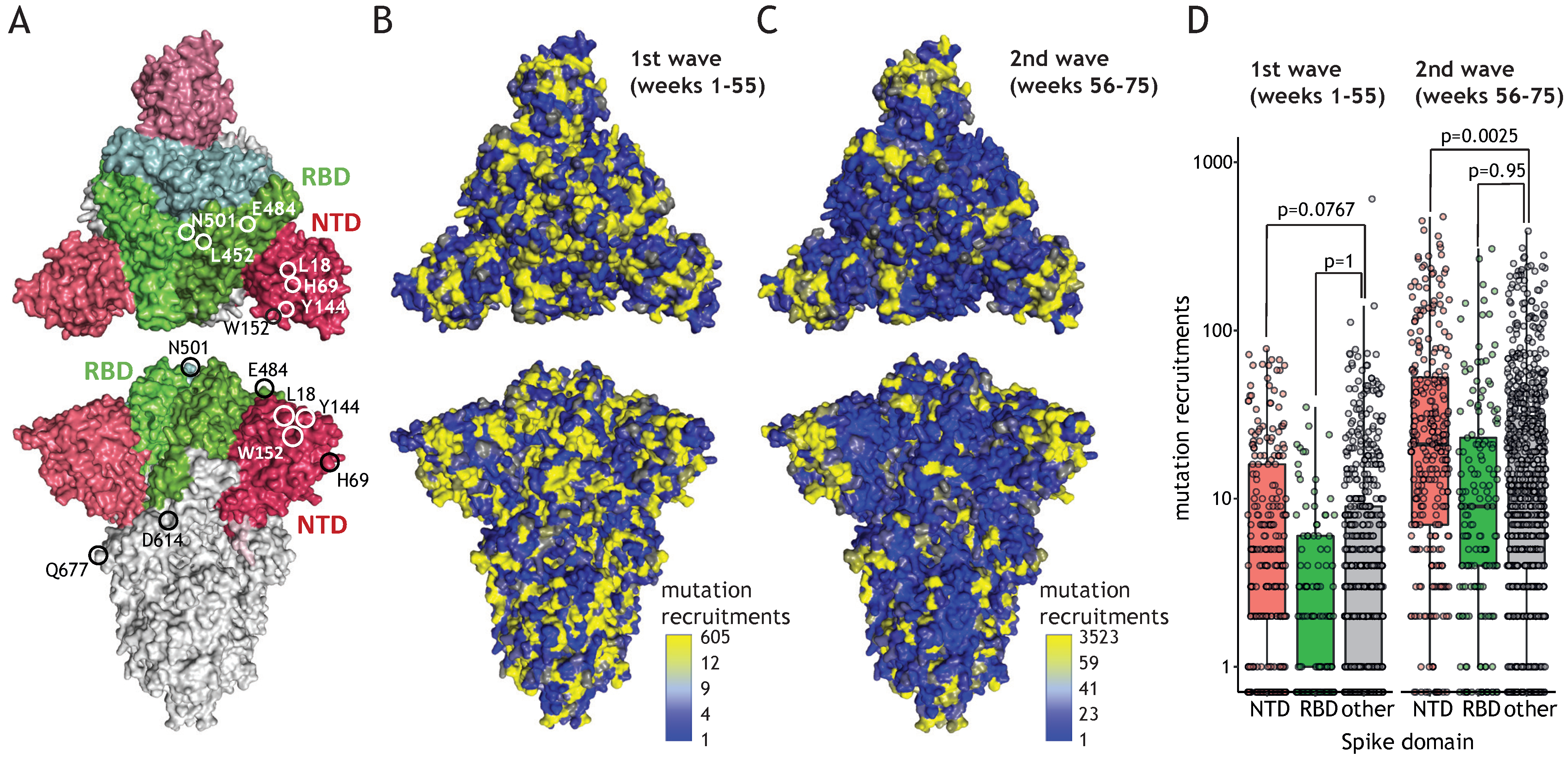 Viruses 13 02114 g004 Viruses 13 02114 g004